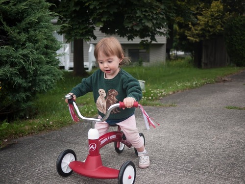 Radio Flyer Scoot About Ride On, For Toddlers 1-3, Adjustable Seat, Stable Wide-Set Front Wheels, Clear Kick Path, Furniture-Friendly Bumper, Easy-Glide Wheels, 42 lb Capacity, Toddler Ride On Toys customer photo 1