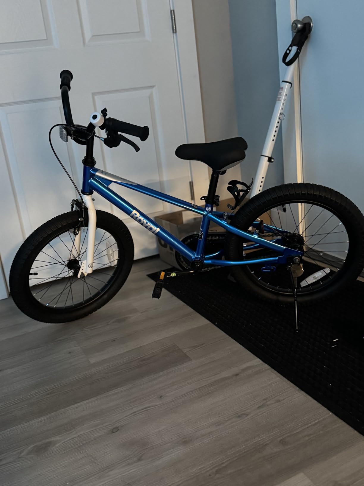 RoyalBaby Kids Bike Freestyle Classic 12 14 16 18 Inch Children Bicycle for Ages 3-10 Years Toddler to Big Kids customer photo 1