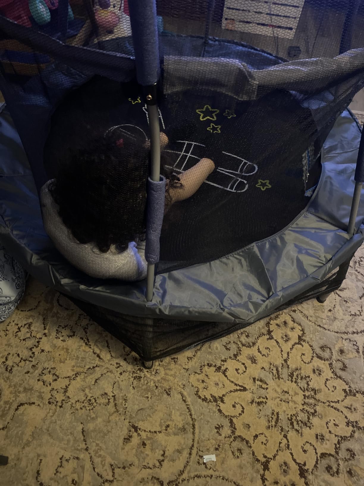 Skywalker Trampolines Mini Trampoline with Enclosure Net customer photo 1