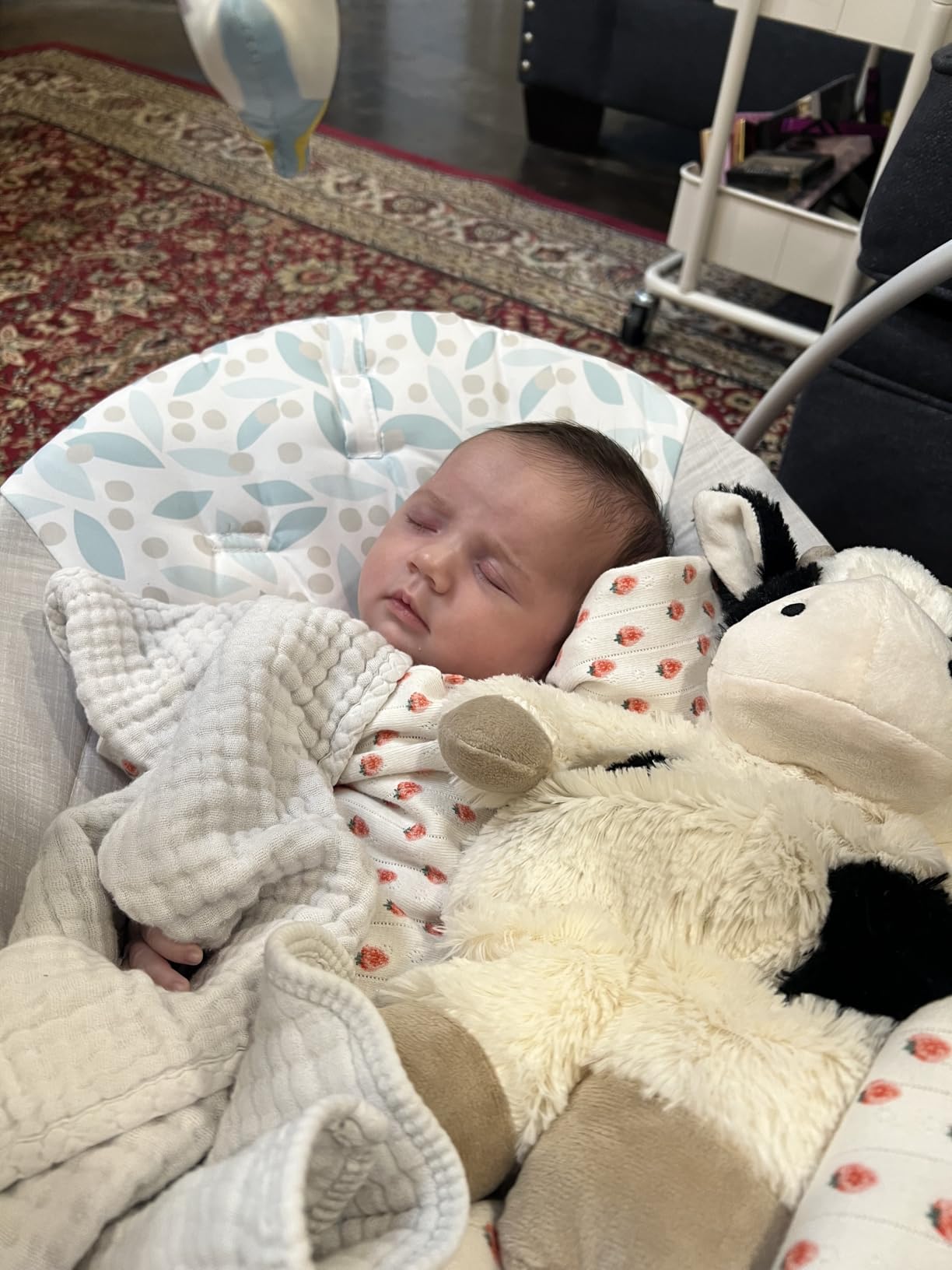 Ingenuity Soothe 'n Delight Compact Portable 6-Speed Plush Baby Swing with Music, Folds Easy, 0-9 Months 6-20 lbs (Cozy Kingdom) customer photo 2