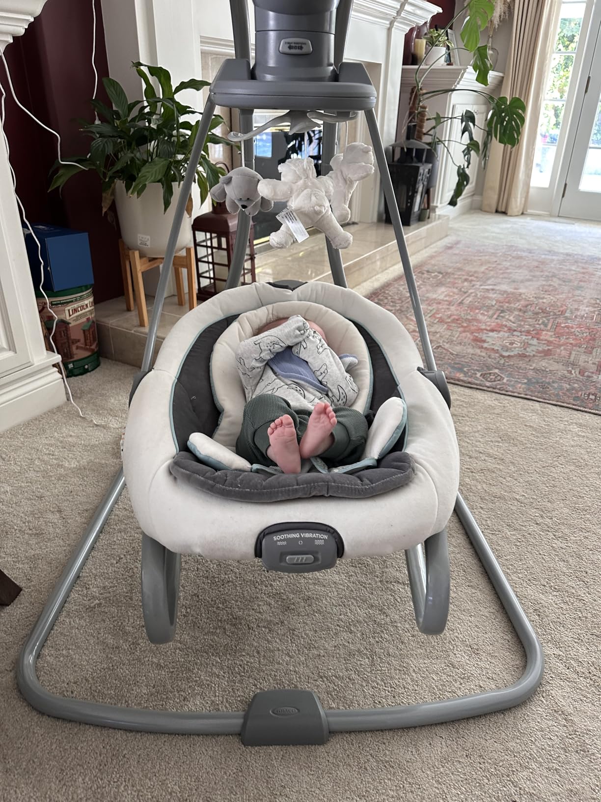 Graco DuetSoothe Swing and Rocker with Removable Swing Seat and 6 Swinging Speeds for Toddler Swing Seat and Swing Chair customer photo 1