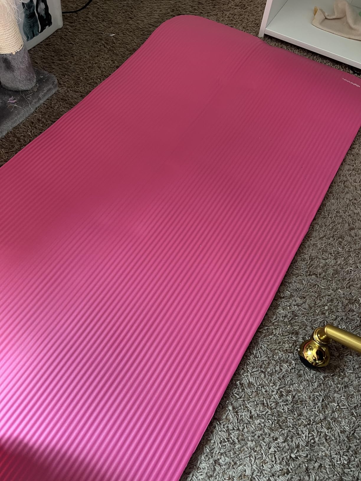 Amazon Basics Extra Thick Exercise Yoga Mat with Carrying Strap customer photo 2