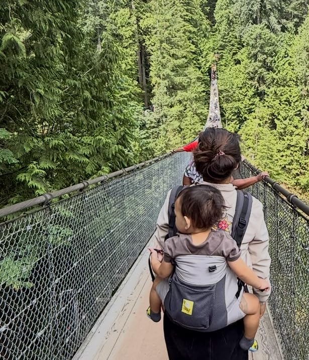 LÍLLÉbaby 3-in-1 Ergonomic CarryOn Airflow Toddler Carrier with Lumbar Support & Breathable Mesh (25-60 lbs) customer photo 1