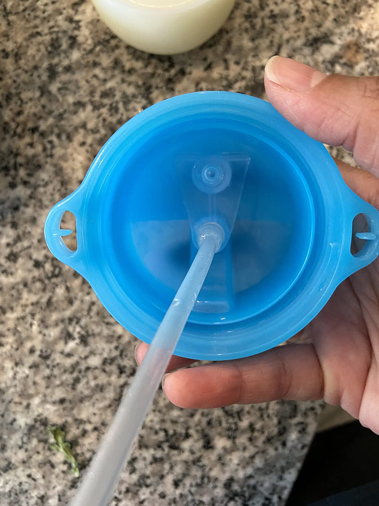 Munchkin Any Angle Weighted Toddler Straw Cups with Click Lock Lid, 10 Ounce, 2 Pack, Blue/Green customer photo 2