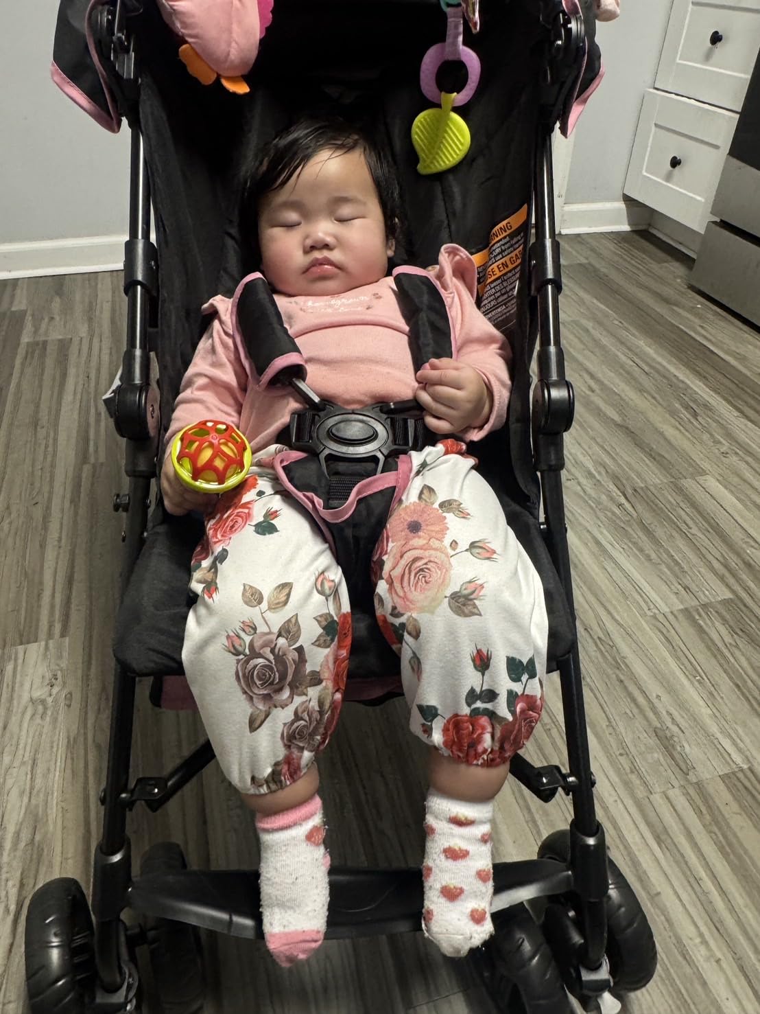 Ingenuity 3D Mini Convenience Stroller - Lightweight Stroller with Compact Fold, Multi-Position Recline, Canopy with Pop Out Sun Visor and More - Umbrella Stroller for Travel and More, Gray customer photo 1