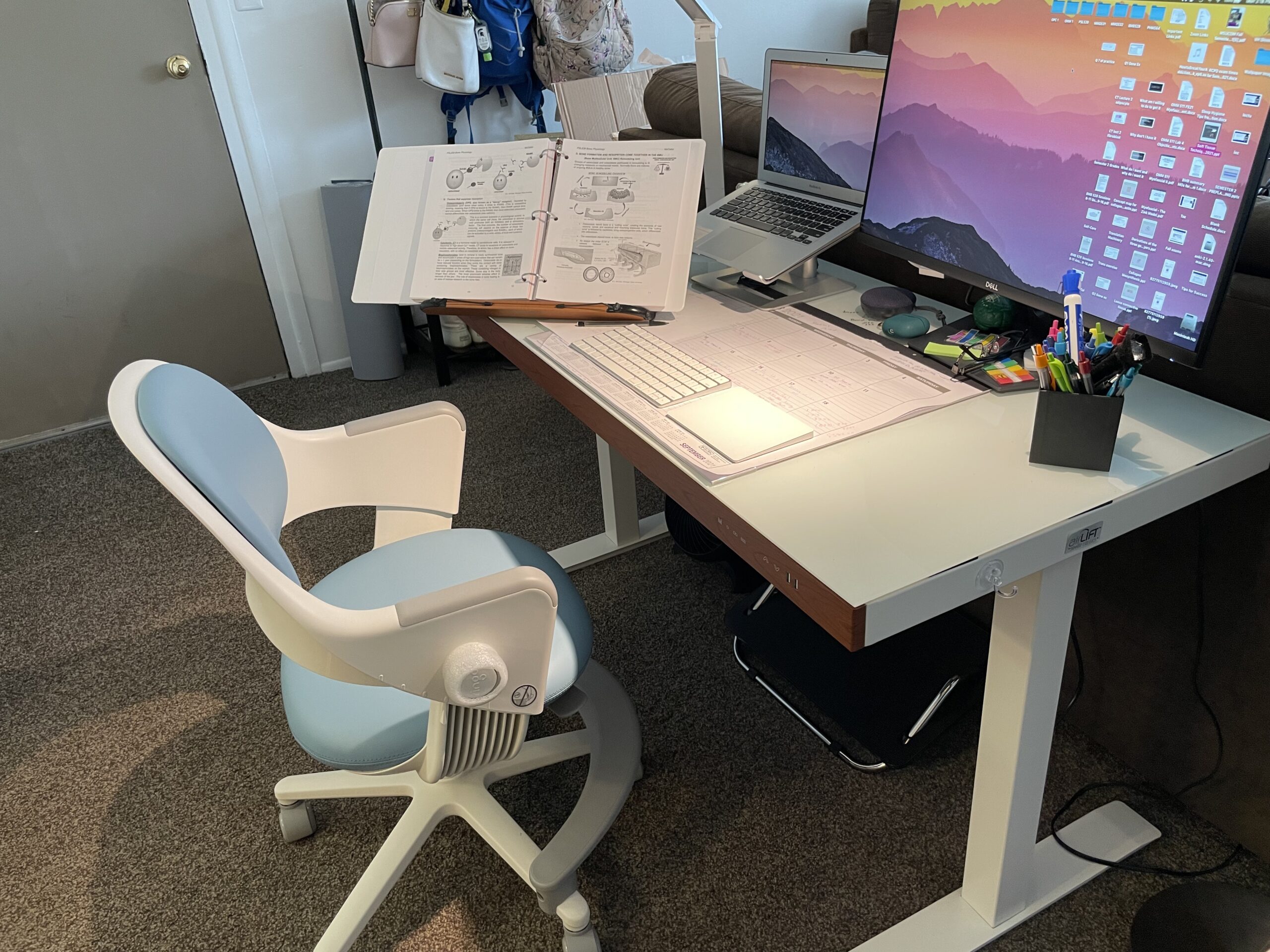 SIDIZ Ringo Kids Desk Chair : Ergonomic Kids Chair with Footrest, 4-Step Growing Function, Adjustable Seat Height, Sit-Locking Casters, Swivel Type (Rosy Pink) customer photo 2