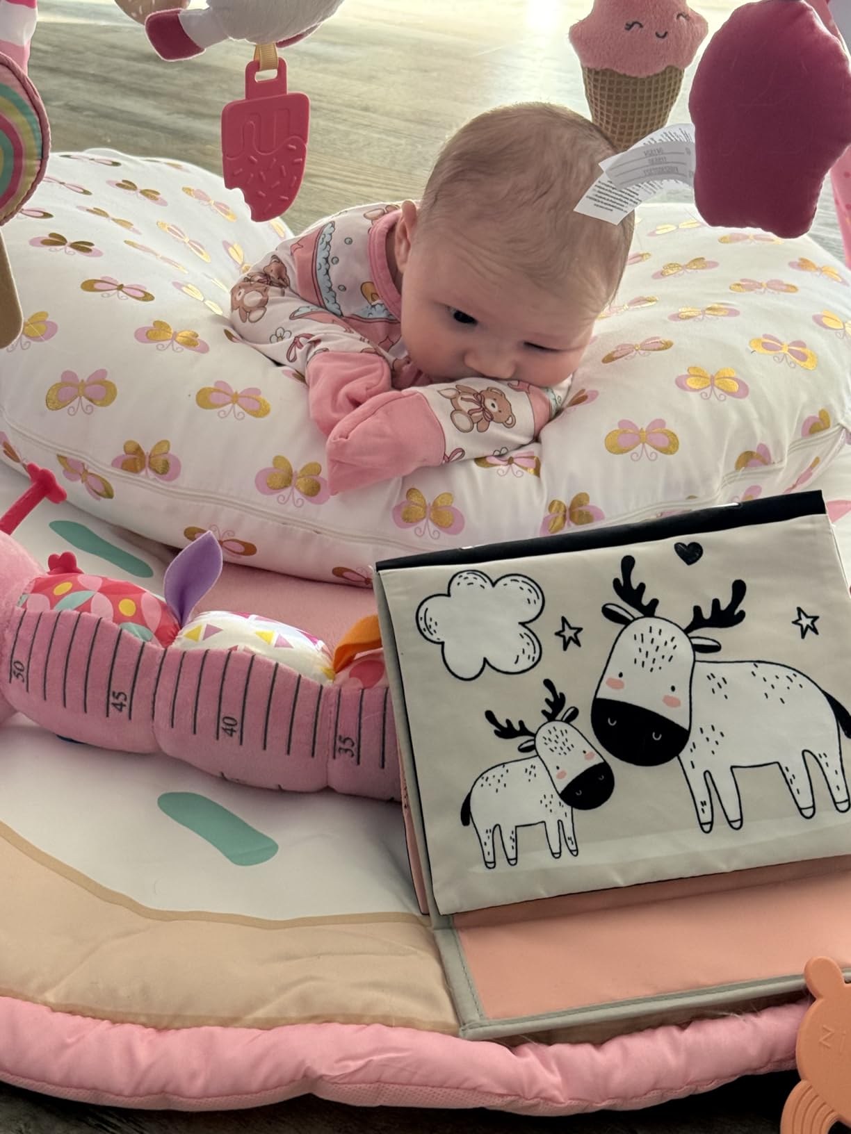 Little Grape Land Nursing Pillow, Breastfeeding Pillows for Mom with Removable Cover and Breathable Filling, Feeding Support Pillow for 0-16 Months, Multifunctional Support Cushion, Butterfly customer photo 1