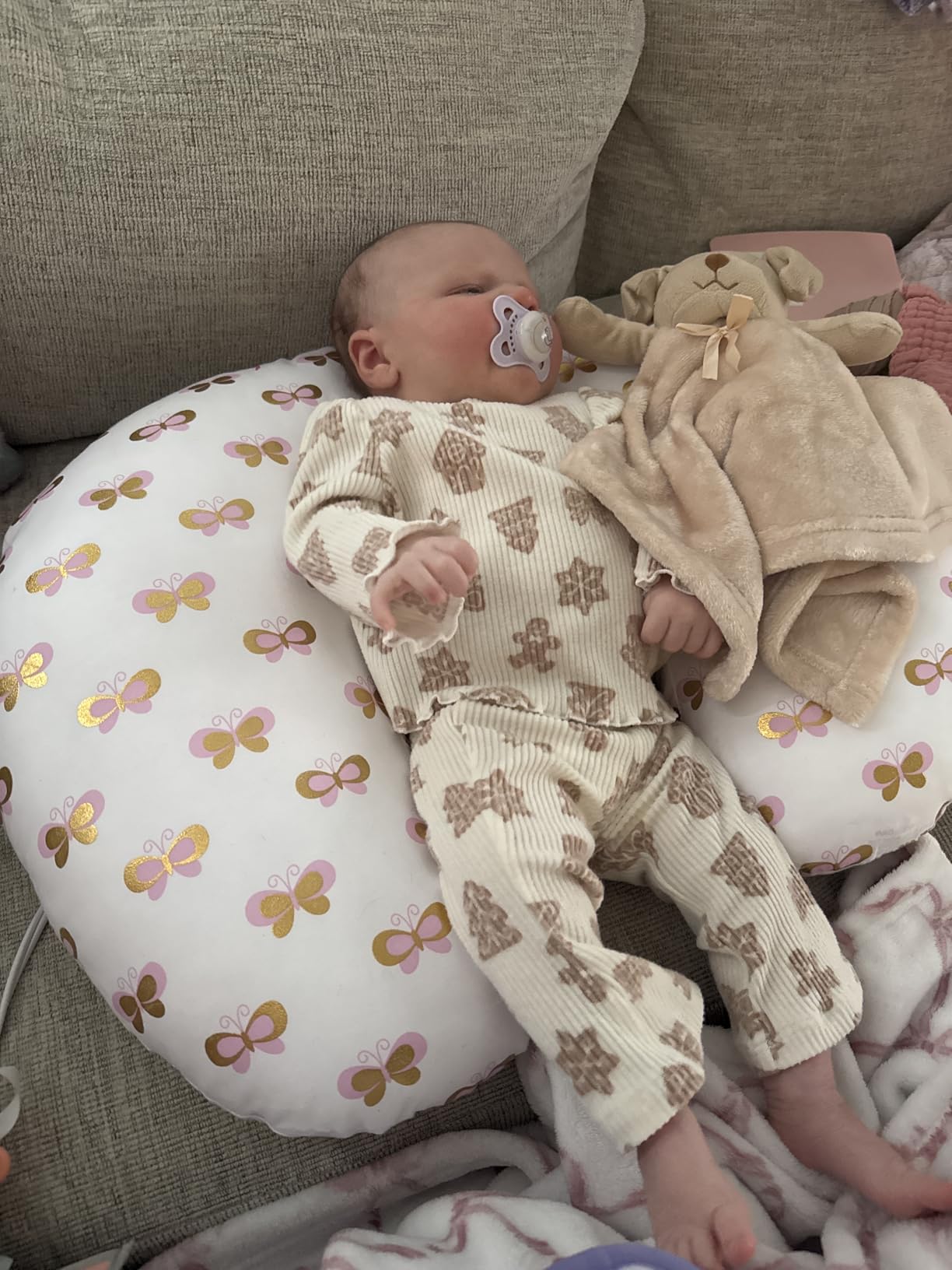 Little Grape Land Nursing Pillow, Breastfeeding Pillows for Mom with Removable Cover and Breathable Filling, Feeding Support Pillow for 0-16 Months, Multifunctional Support Cushion, Butterfly customer photo 2