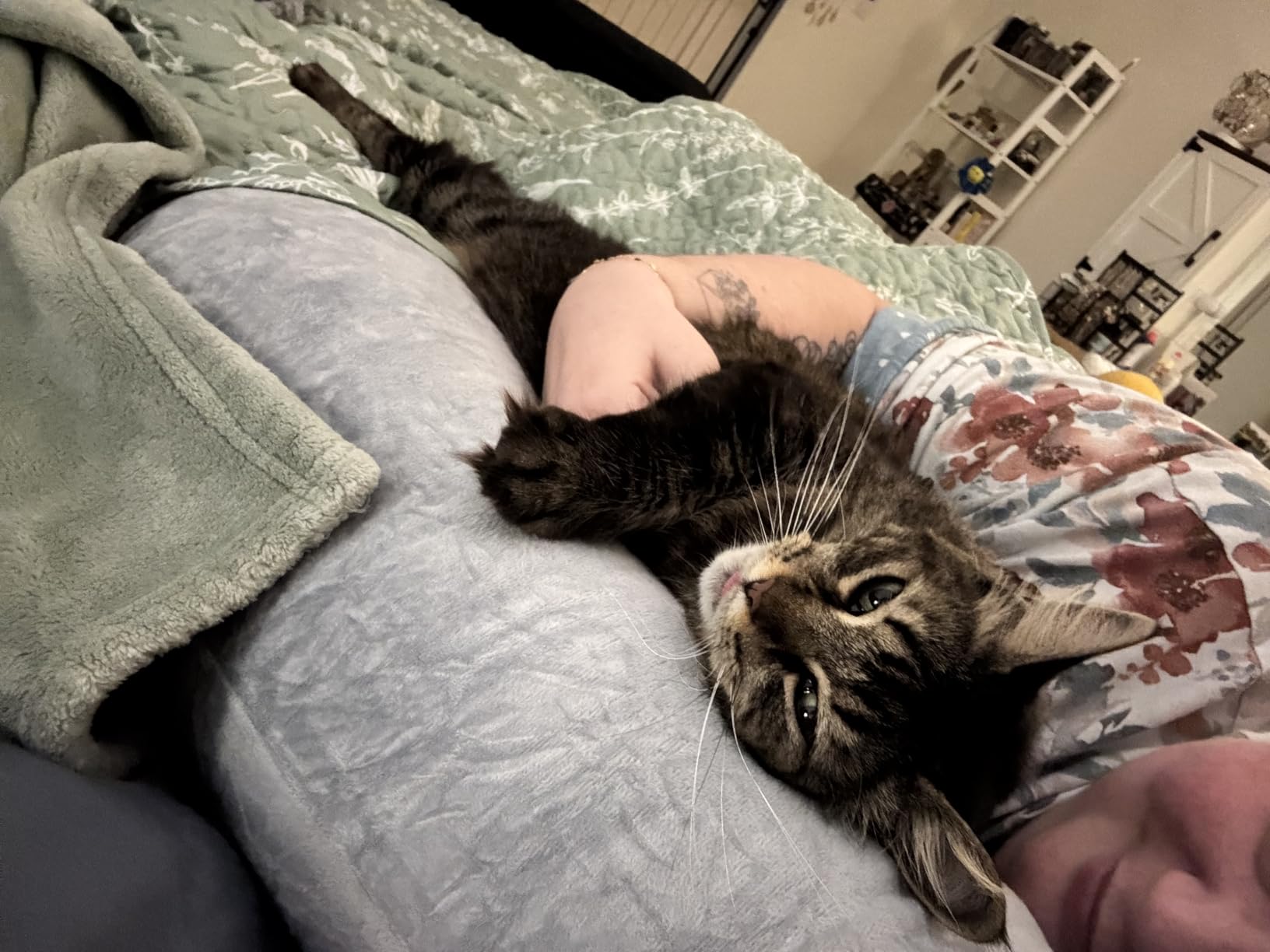 Momcozy Pregnancy Pillows for Sleeping, U Shaped Full Body Maternity Pillow with Removable Cover - Support for Back, Legs, Belly, HIPS for Pregnant Women, 57 Inch Pregnancy Pillow for Women, Grey customer photo 2