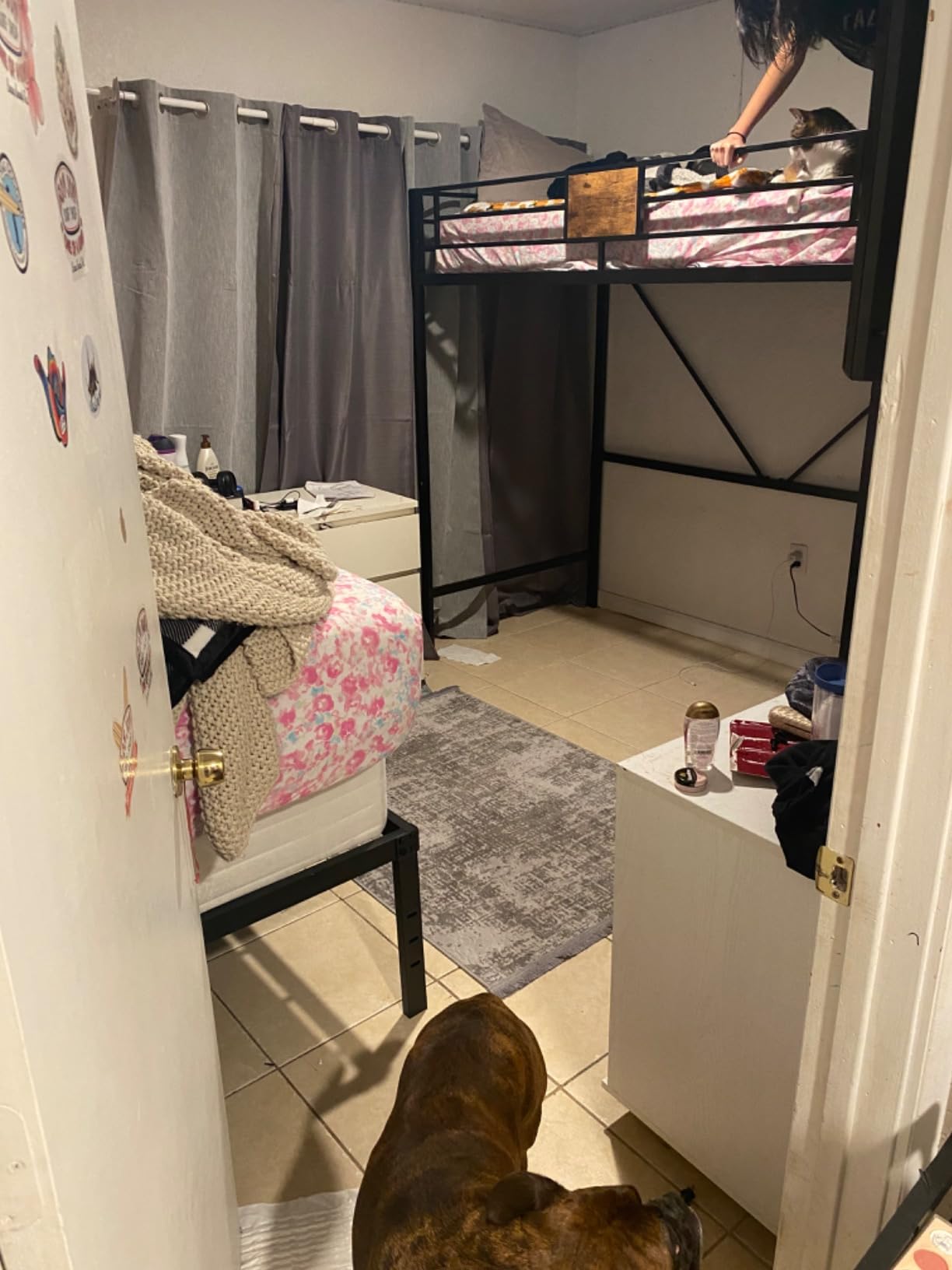 SHA CERLIN Loft Bed Twin Size with Ladder and Guardrail, Rustic Design, Metal Slats Support No Box Spring Needed Small Space Saving Furniture for Bedroom Dorm customer photo 1
