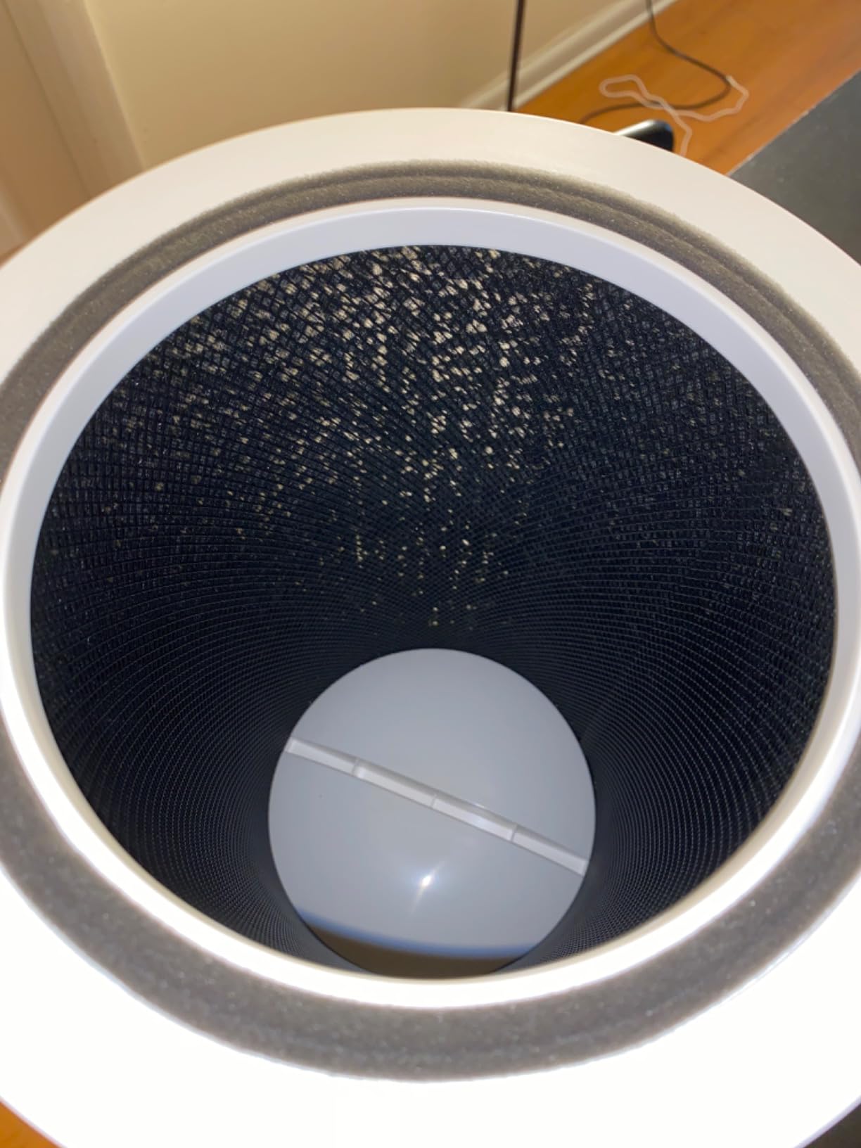 Clorox HEPA Air Purifiers for Home, True HEPA Filter, Medium Rooms Up to 1,000 Sq Ft, Removes 99.9% of Mold, Allergens, Pet Allergies customer photo 2