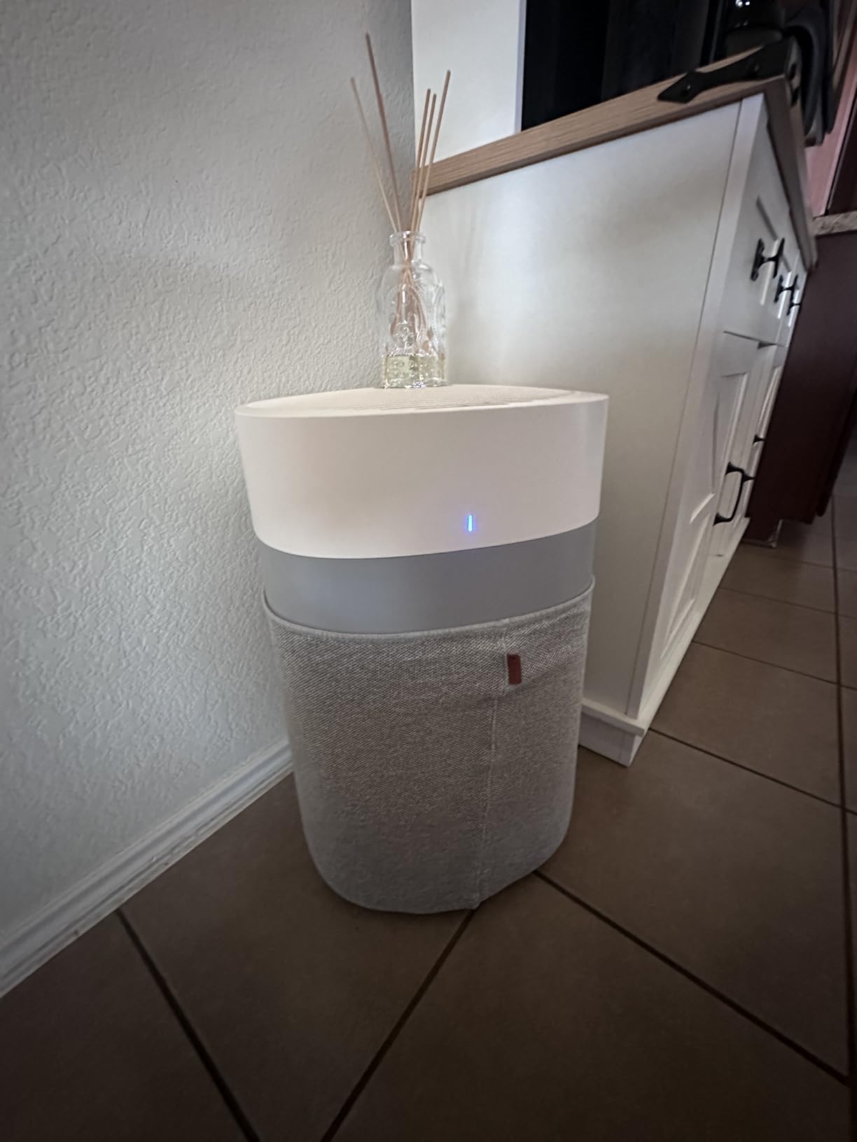 BLUEAIR Air Purifiers for Large Rooms, Cleans 3,048 Sqft In One Hour, HEPASilent Smart Air Cleaner - Blue Pure 211i Max customer photo 2