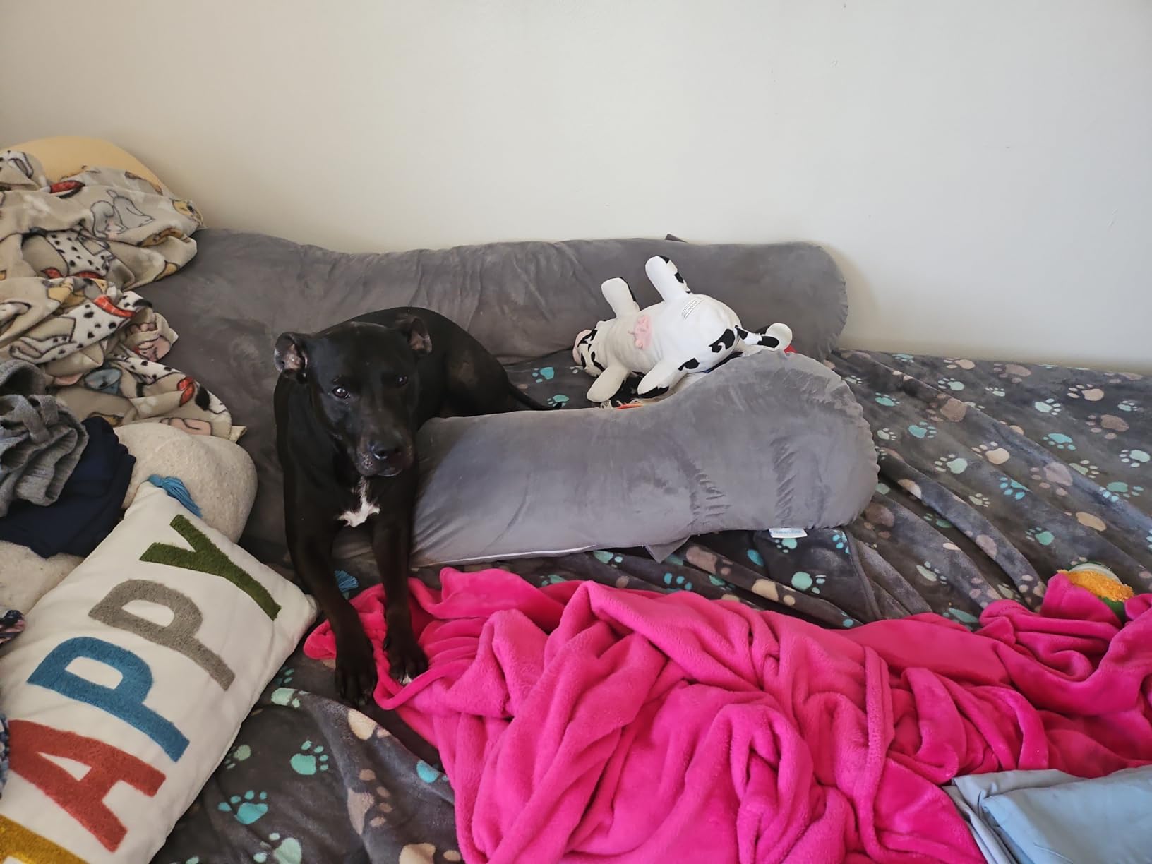 QUEEN ROSE Cooling Pregnancy Pillows, U Shaped Full Body Maternity Pillow for Pregnant Support, Rayon Derived from Bamboo, Buttery Soft, Super Breathable for Hot Sleeper, Green customer photo 2