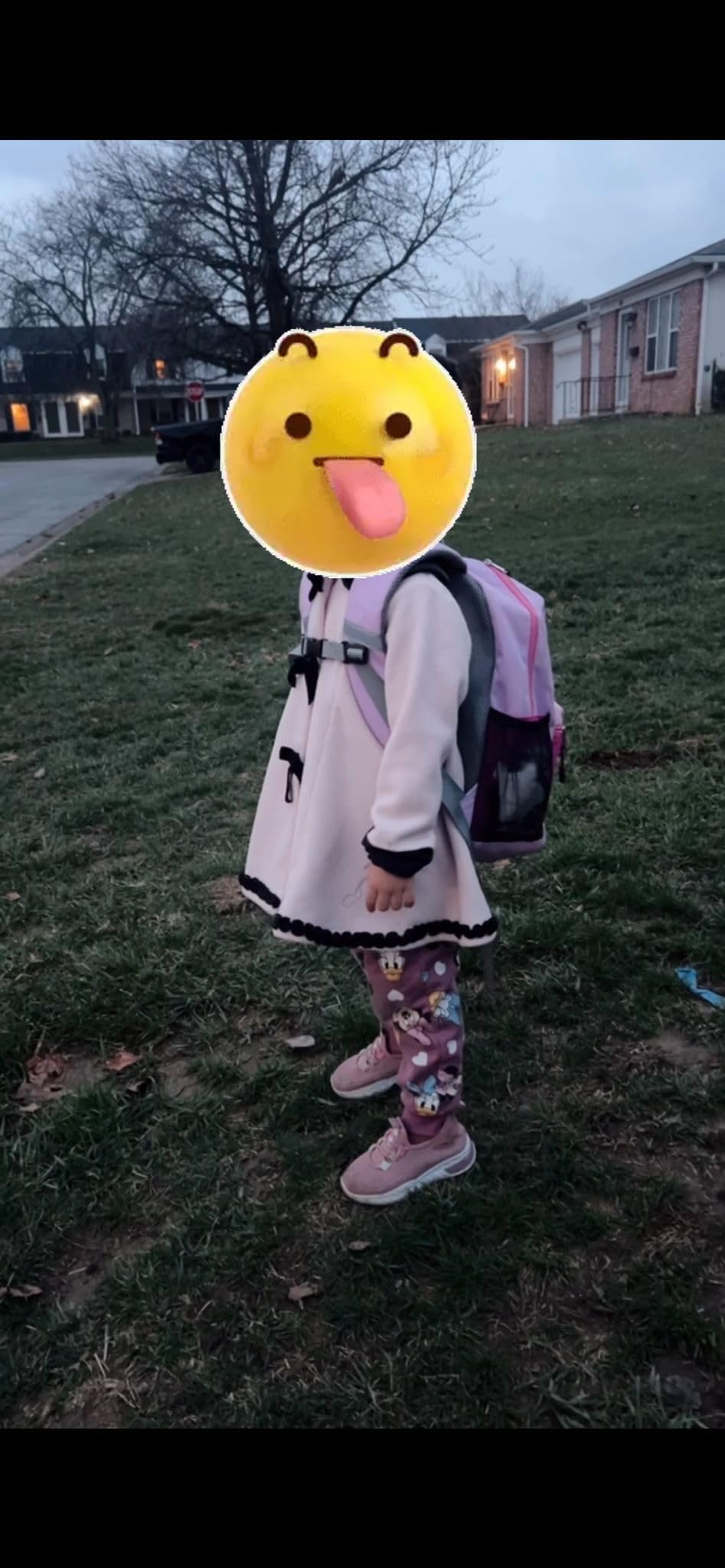 STEAMEDBUN Kids Backpack for Boys, Kindergarten Backpack for Toddler Boys Age 3-6 customer photo 1