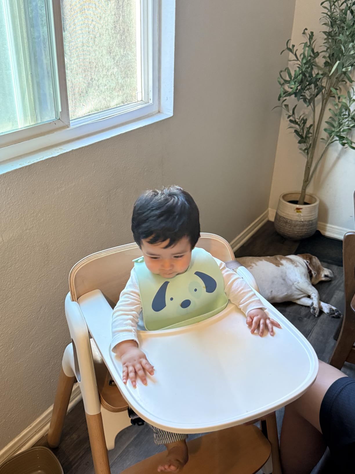 Momcozy DinerPal Wooden High Chair for Babies, Toddlers & Adults Up to 308 Lbs, Convertible Baby Highchair with Food-Grade Tray, Dishwasher-Safe, Adjustable & Ergonomic, Natural Wood customer photo 2