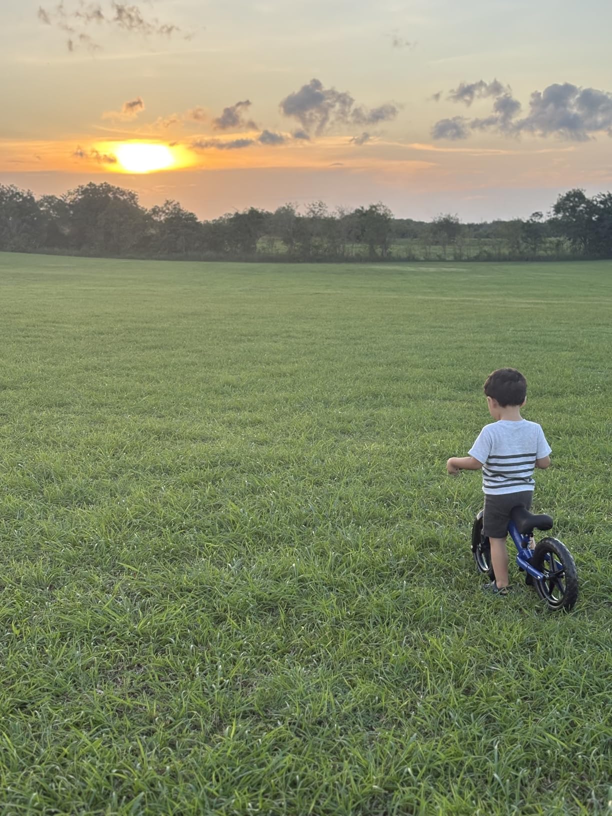 KRIDDO Toddler Balance Bike 2 Year Old, Kids Balance Bike for 2-5 Years Old, Dual Bearing for Smoother Riding, Adorable Plate, Adjustable Seat and Handlebar, Toddler Bike Gifts Age 2-3, Green customer photo 1