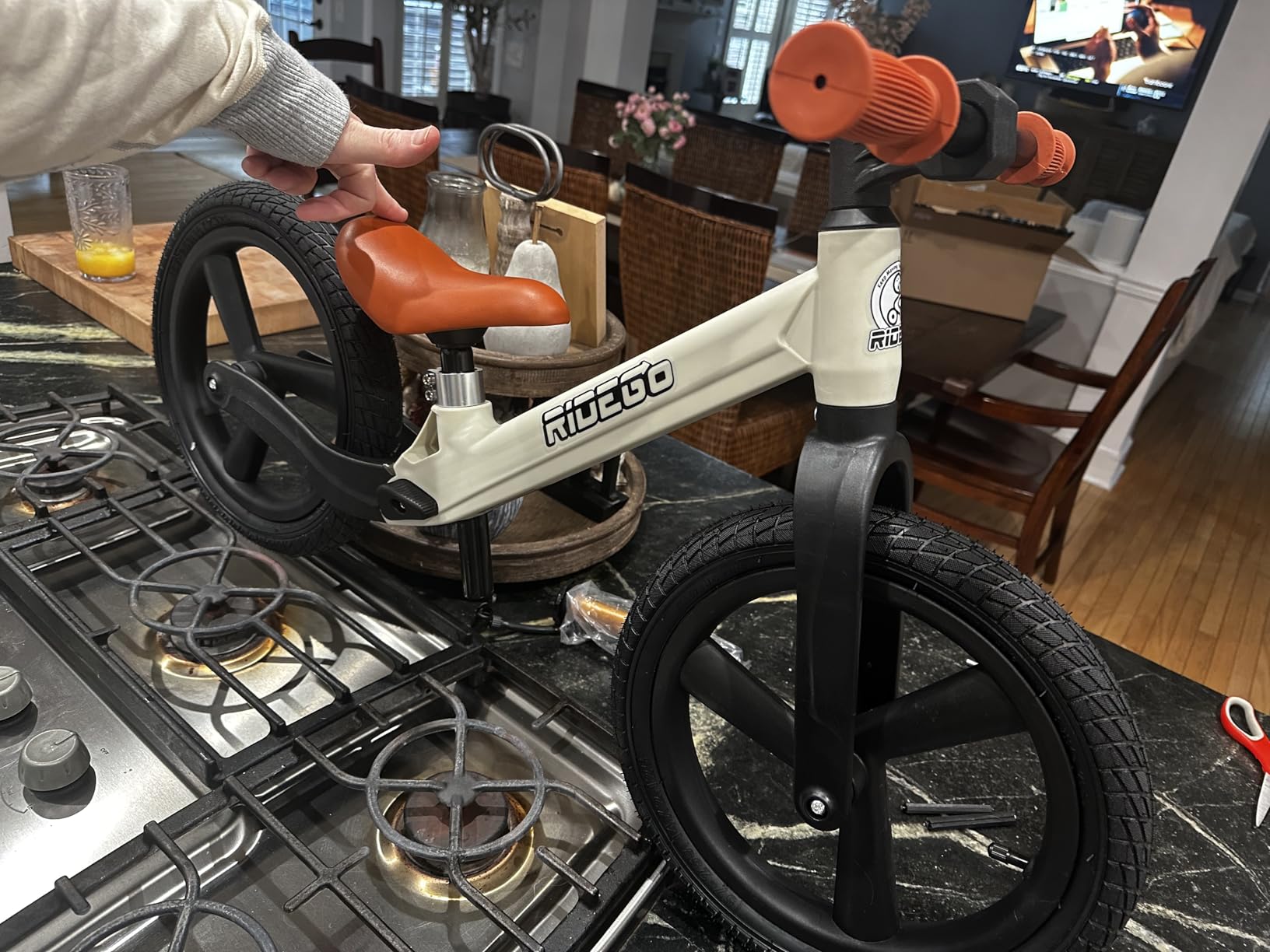 Ridego 14 Inch Balance Bike for Kids 3-6 Year Old, Lightweight Kids Bike with Adjustable Seat, Push Bicycle with Air Rubber Tires customer photo 1