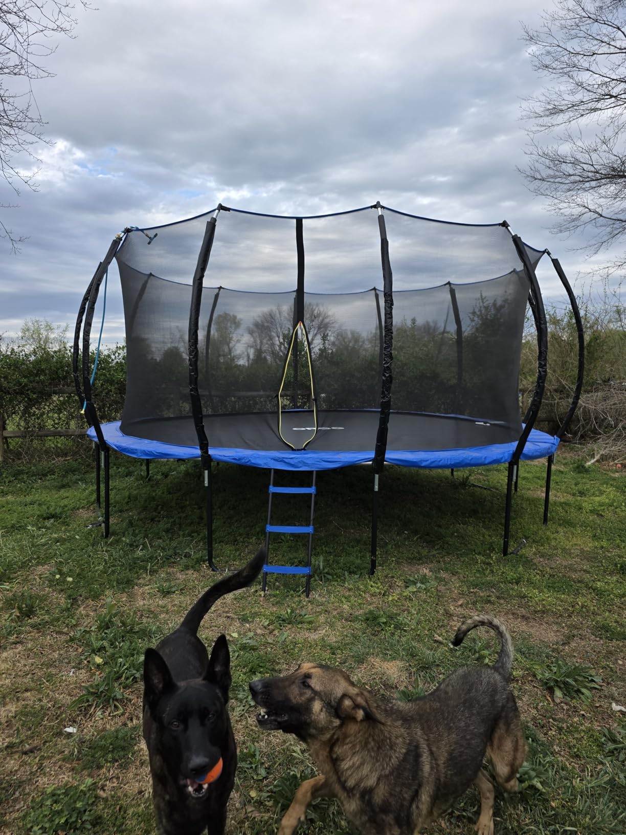 ORCC Kids Trampoline, 1200LBS Weight Capacity Outdoor Trampoline 16 15 14 12 10 8FT Yard Trampolines for Kids Adults customer photo 1