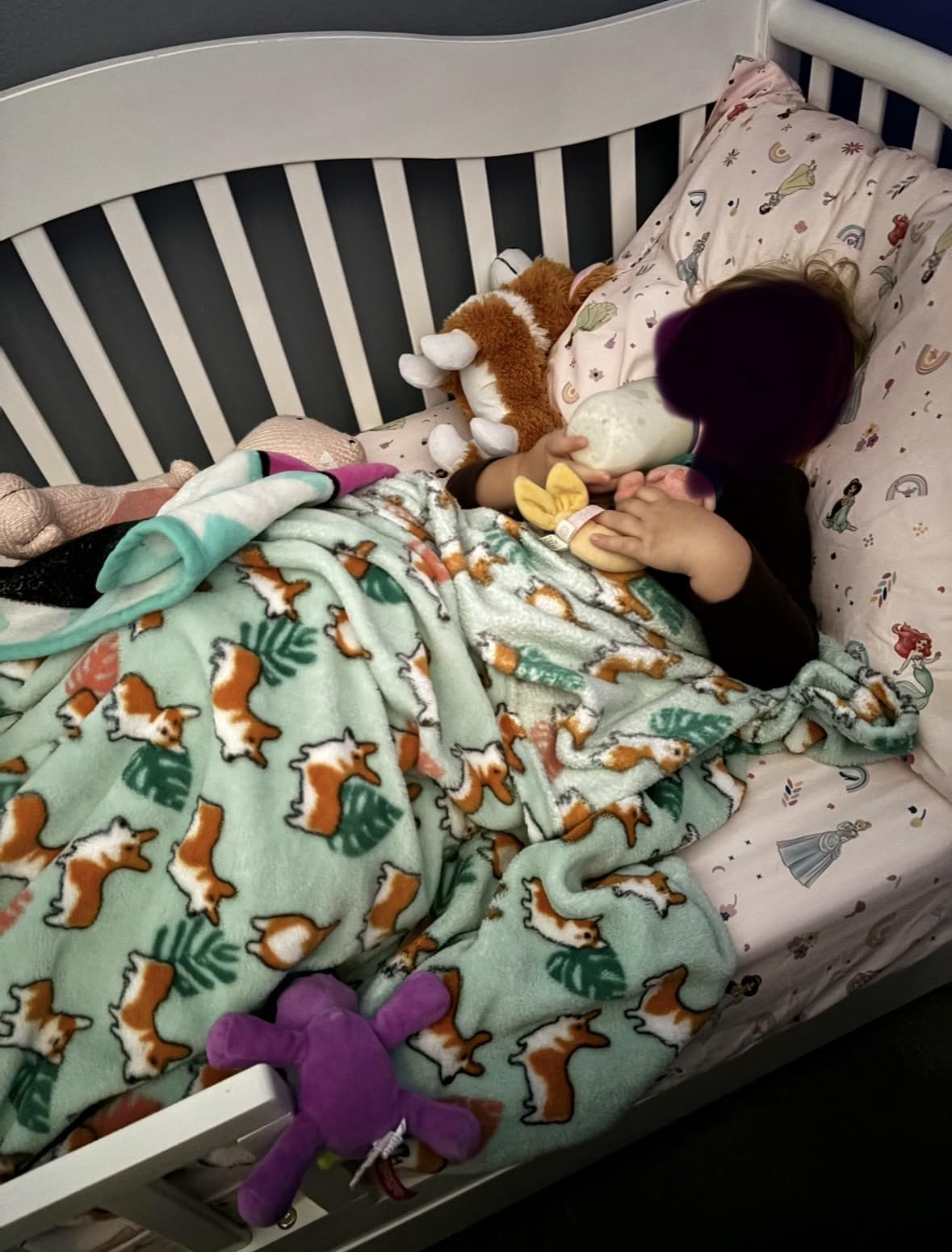 Dream On Me Toddler Day Bed in White - Greenguard Gold Certified, Low-to-Floor Design, Removable Safety Guard Rail, Includes Storage Drawer customer photo 2