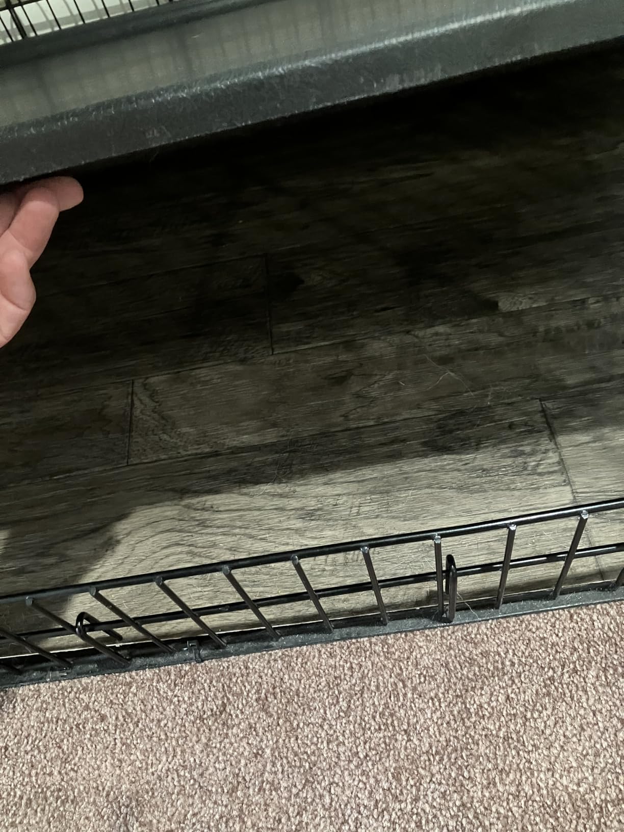 Solutions by MidWest Homes for Pets 54-Inch Drop Pin Crate for Giant Breeds Over 100 lbs, Double Door Dog Crate with Leak-Proof Tray & Secure Latches customer photo 1
