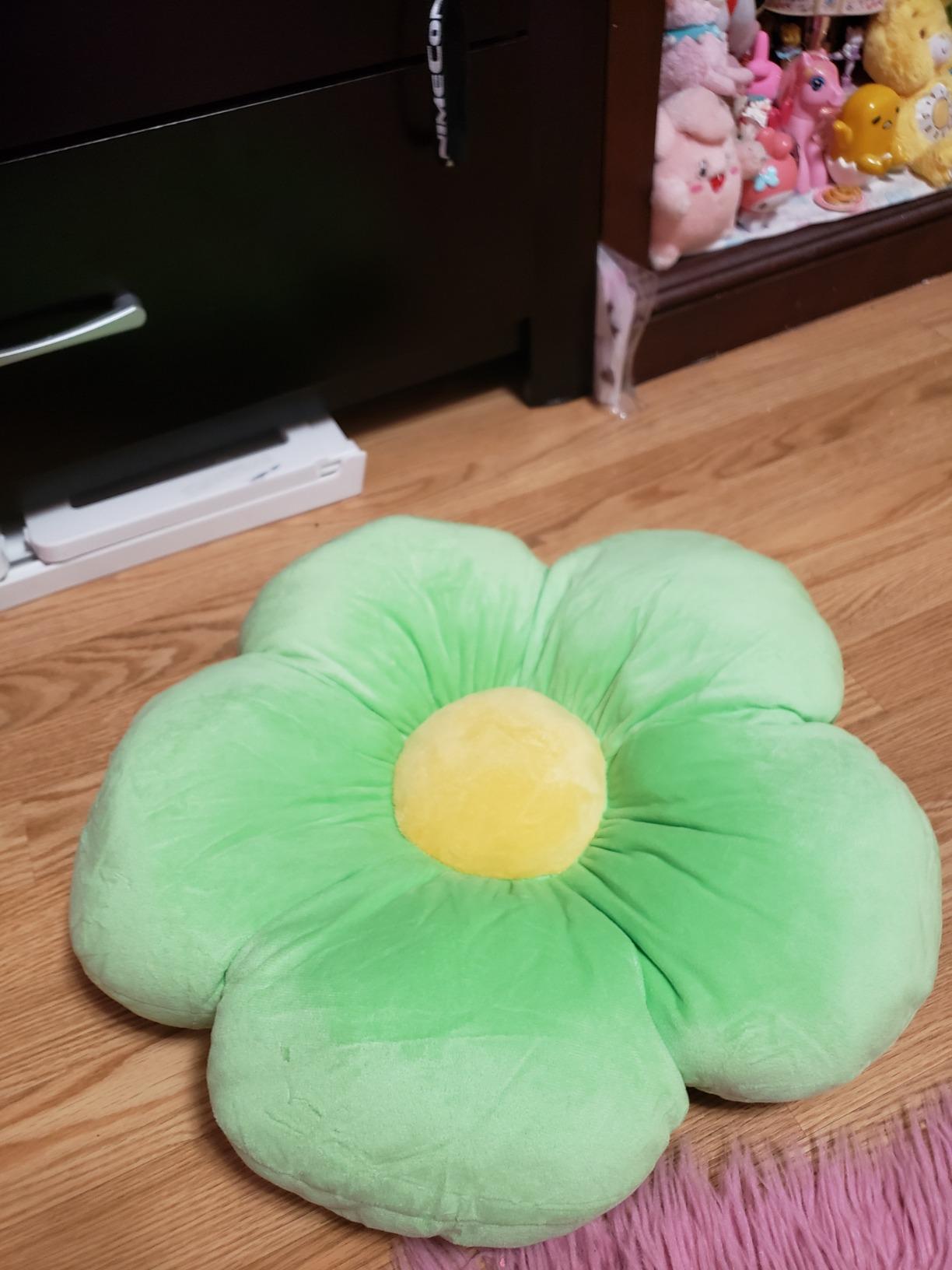 Butterfly Craze Flower-Shaped Floor Pillow - Machine Washable Plush Microfiber Cozy Area Pillow - Reading Floor Cushion for Kids - Toddler Lounger & Kids Tent Seating - Medium 20 in, Green customer photo 1