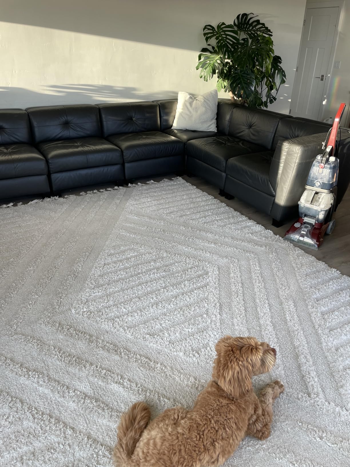 Hoover PowerScrub Deluxe Carpet Cleaner Machine, Deep Cleaning Carpet Shampooer customer photo 1