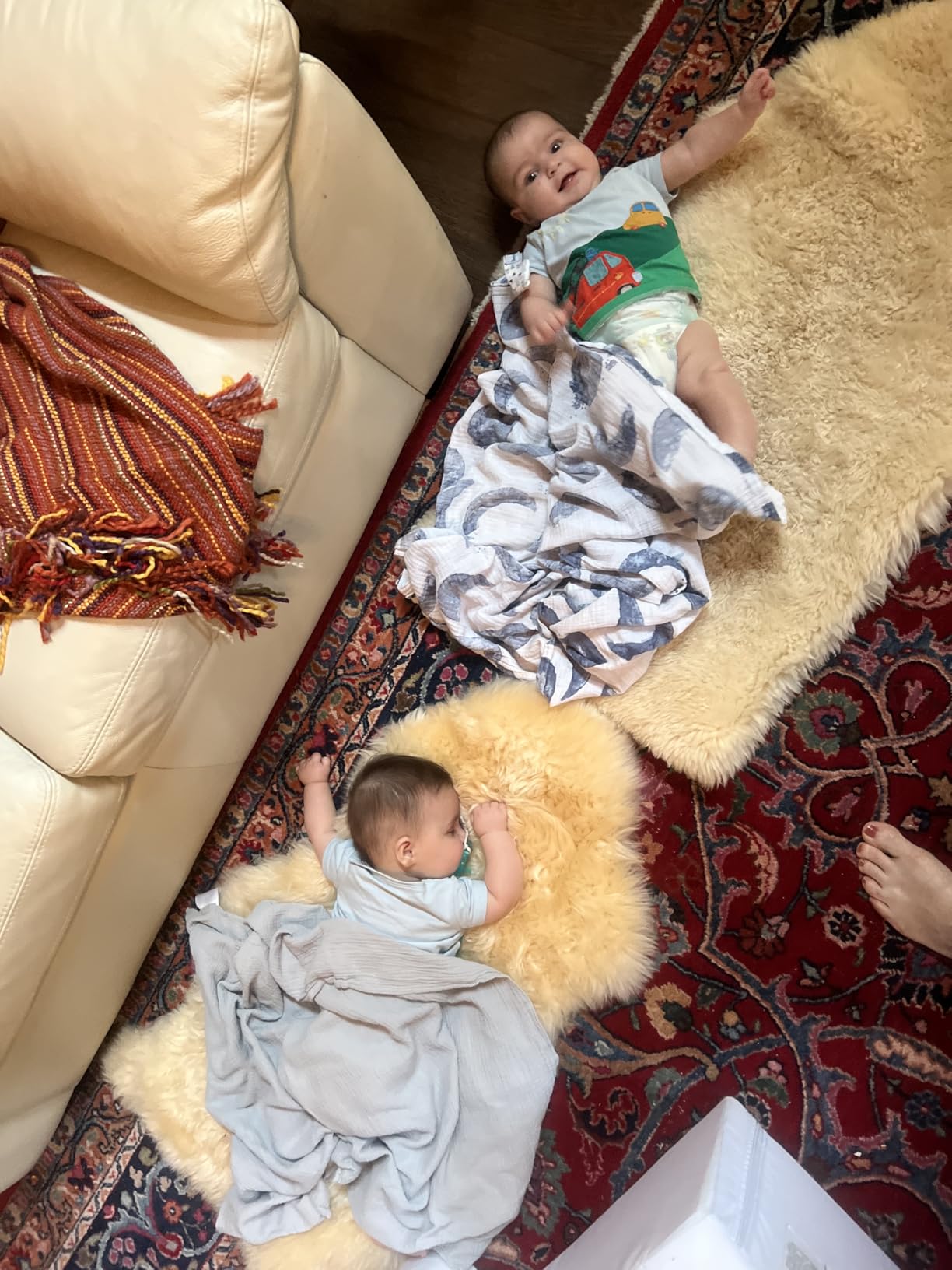 Woolino Sheepskin Luxuriously Soft Fluffy Rug for Bedroom, 100% Natural Australian Merino Wool Lambskin Baby Carpet - Flax customer photo 1