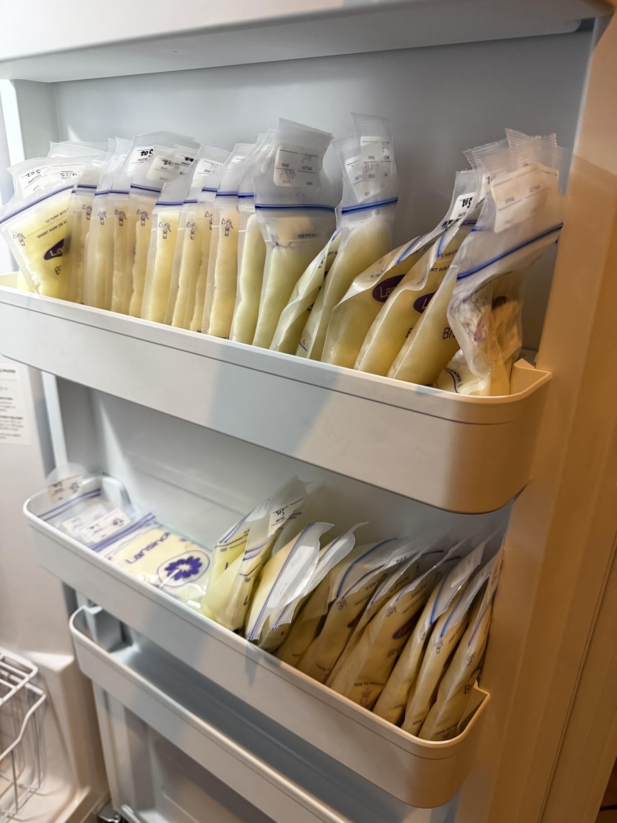 Lansinoh Breastmilk Storage Bags, 200 Count Value Pack, Baby Essentials, Leak-Proof, Fast Freeze & Thaw Breast Milk Bags for Baby Bottle Feeding, Strength & Stretch, 6 Ounce customer photo 2