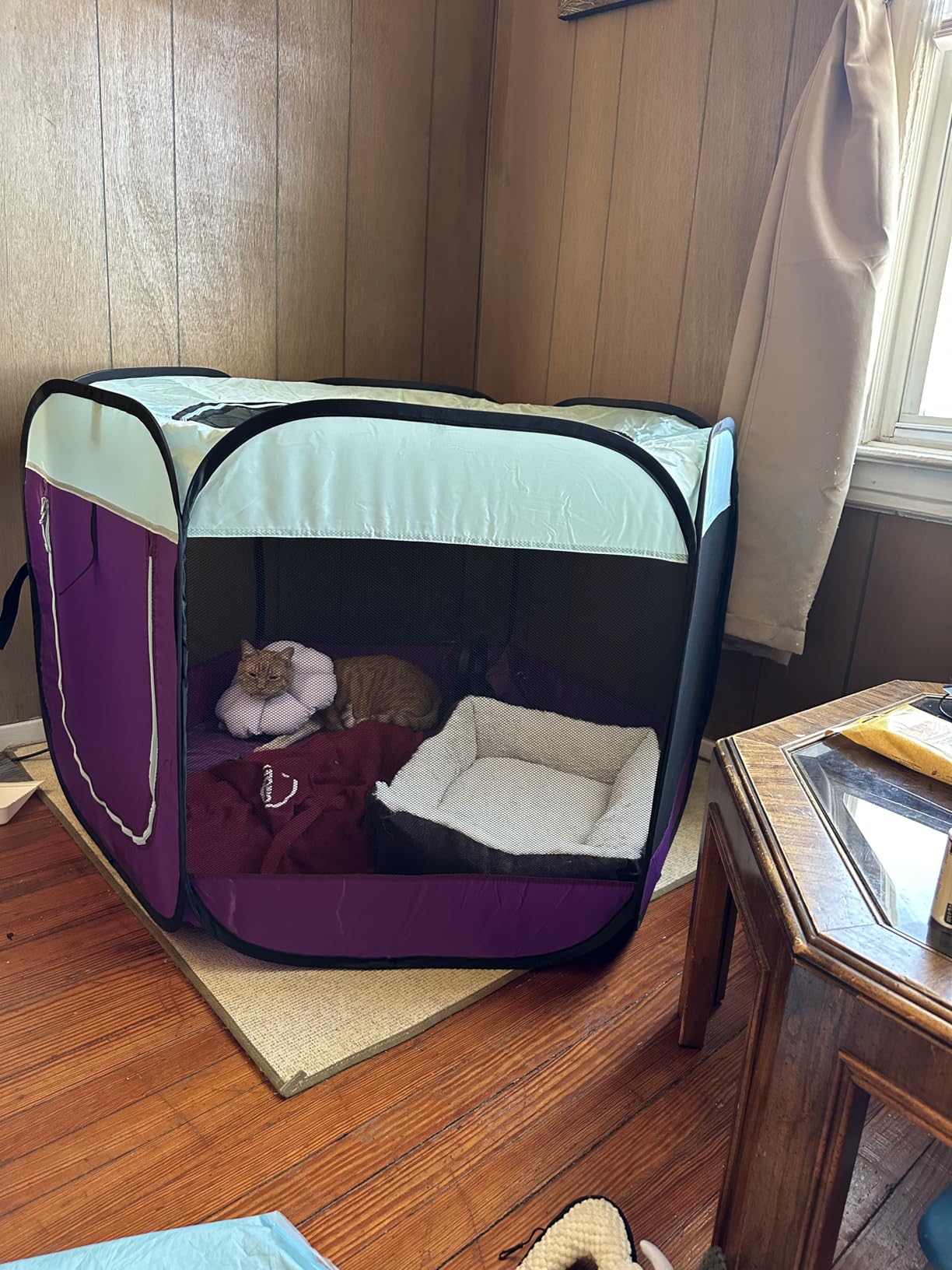 FurHaven Soft-Sided Dog & Cat Playpen, Portable Foldable Indoor & Outdoor Pet Playpen with Mesh Windows & Zippered Door, Gray, Extra Large customer photo 2