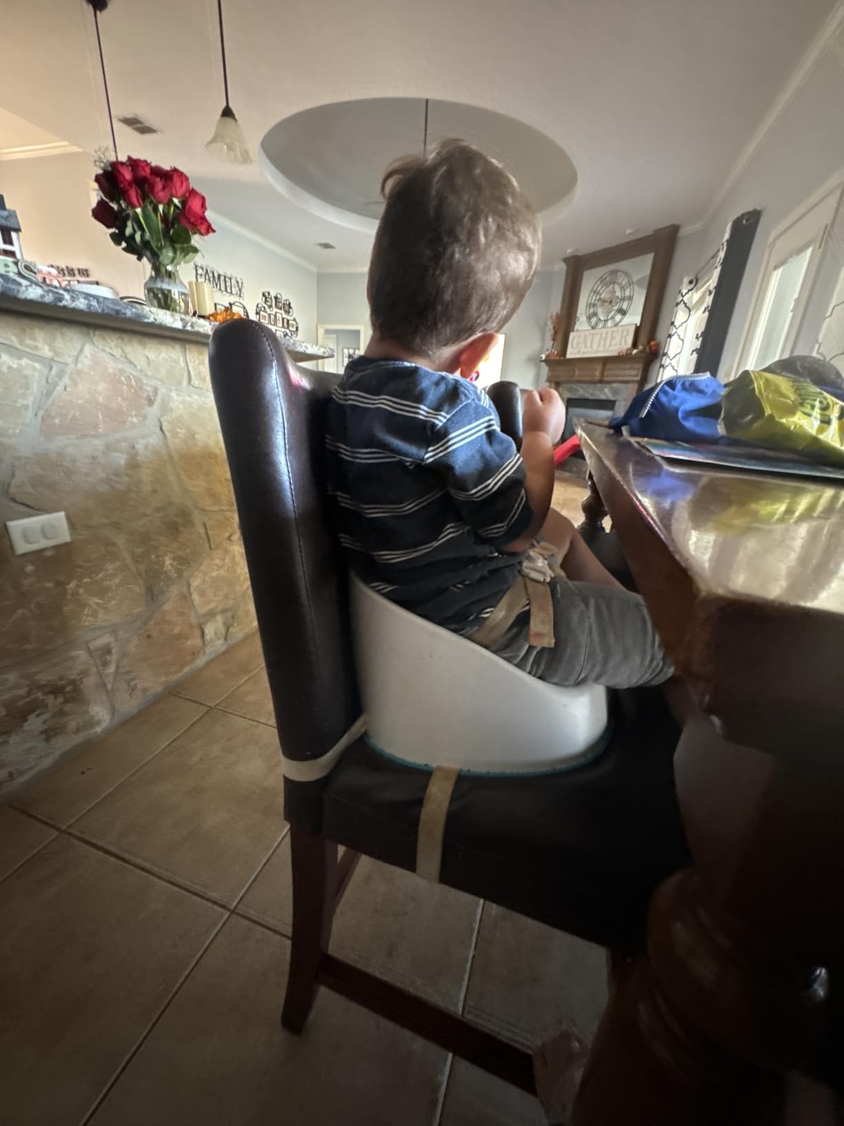 Prince Lionheart Baby Booster Squish Seat for Dining Table, Soft Seat with 3-Point Harness and Dual-Strap System for Toddler customer photo 1