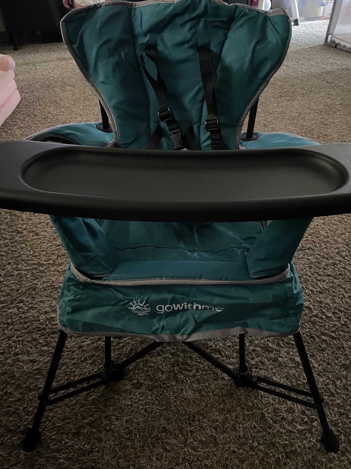 Baby Delight Go with Me Venture Portable Chair | Indoor and Outdoor | Sun Canopy | 3 Child Growth Stages | Teal customer photo 1