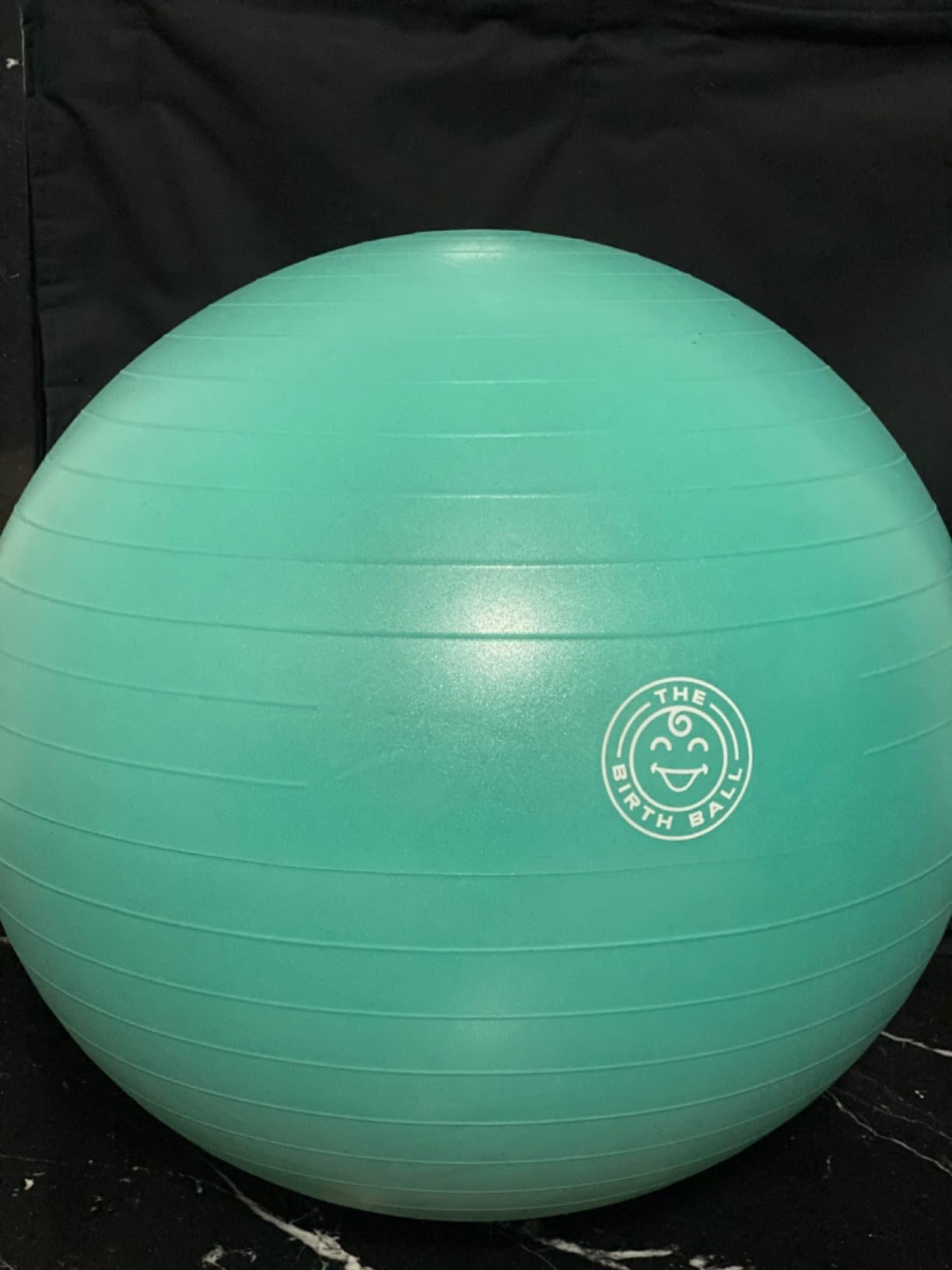 The Birth Ball - Birthing Ball for Pregnancy & Labor - 18 Page Pregnancy Ball Exercises Guide by Trimester - Non Slip Socks - How to Dilate, Induce, & Reposition Baby for Mom customer photo 1