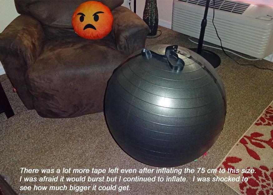 SmarterLife Exercise Ball Yoga Ball for Fitness, Balance, Stability, or Pregnancy, Gym Ball for Core Workout, Physical Therapy, Yoga Ball Chair for Office, Anti-Slip Anti-Burst customer photo 1