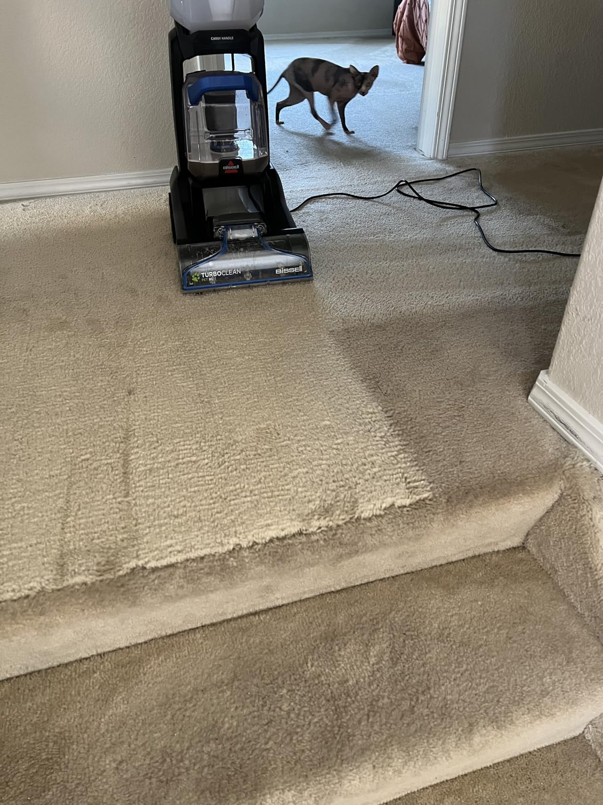 Bissell PET PRO OXY Urine Eliminator with Febreze Carpet Deep Clean Solution, 48oz customer photo 1