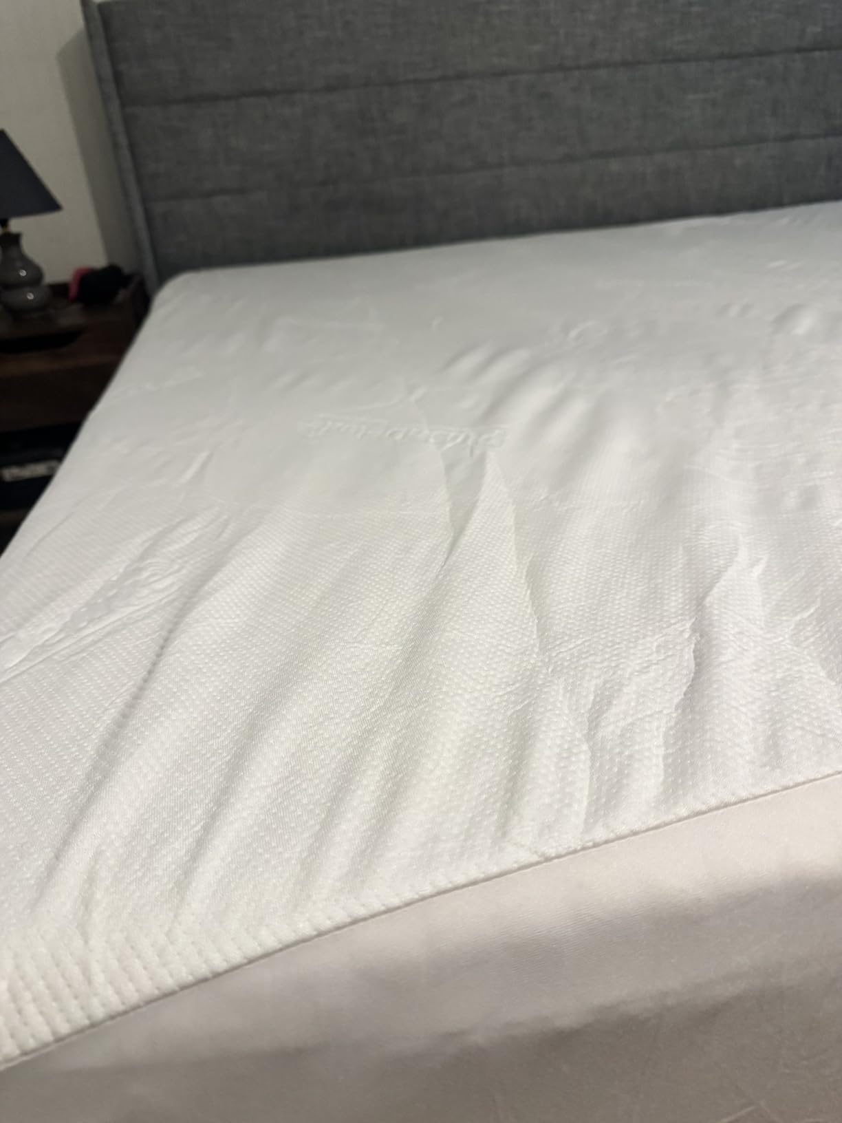 PlushDeluxe Bamboo Waterproof Mattress Protector, Twin Size, Ultra Soft | Breathable, Noiseless, Hypoallergenic, Washable, 39x75