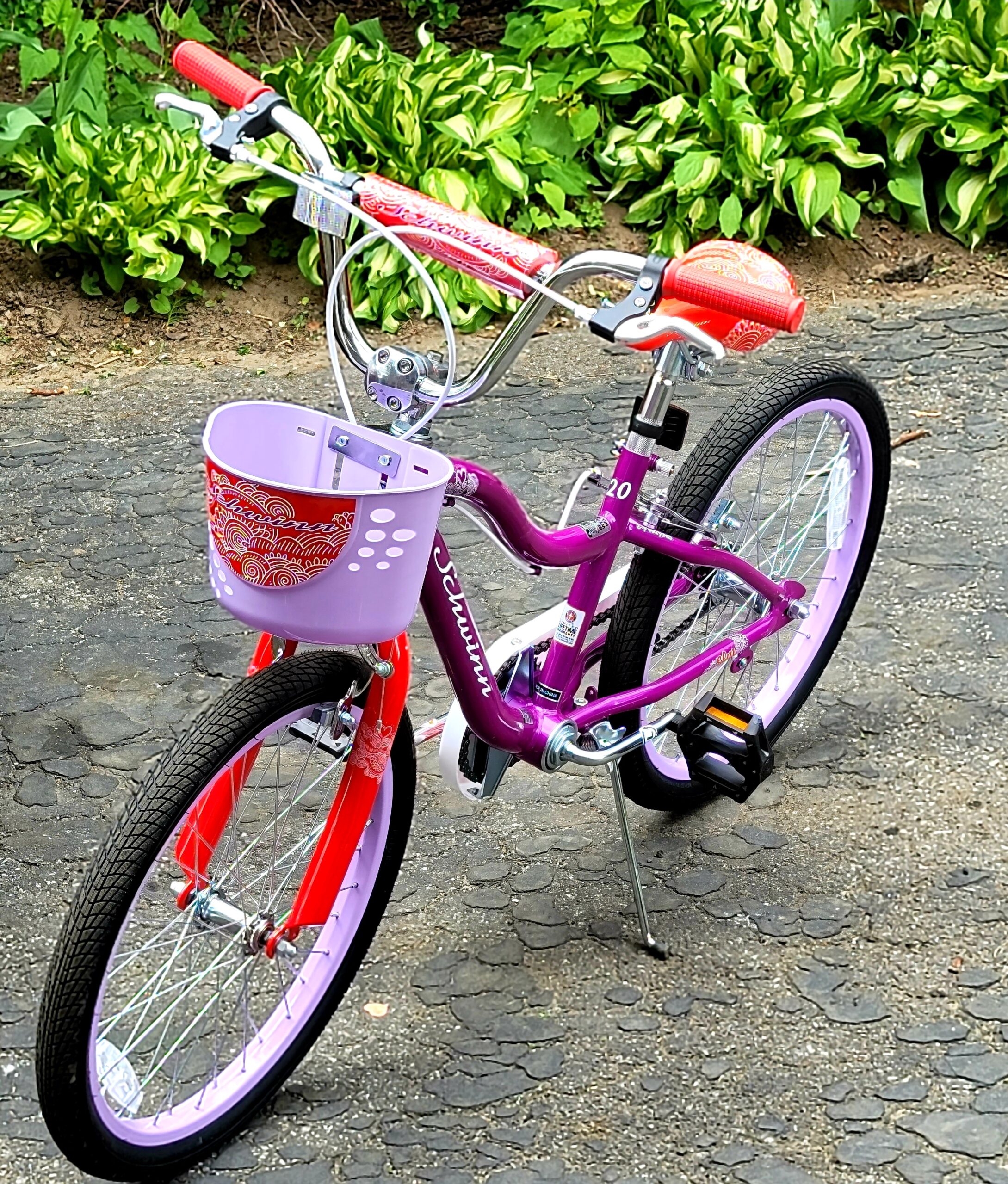 Schwinn Koen & Elm Big Kid Bike, 20-26 Inch Wheels, Multiple Speeds, for Kids Ages 8+ customer photo 2
