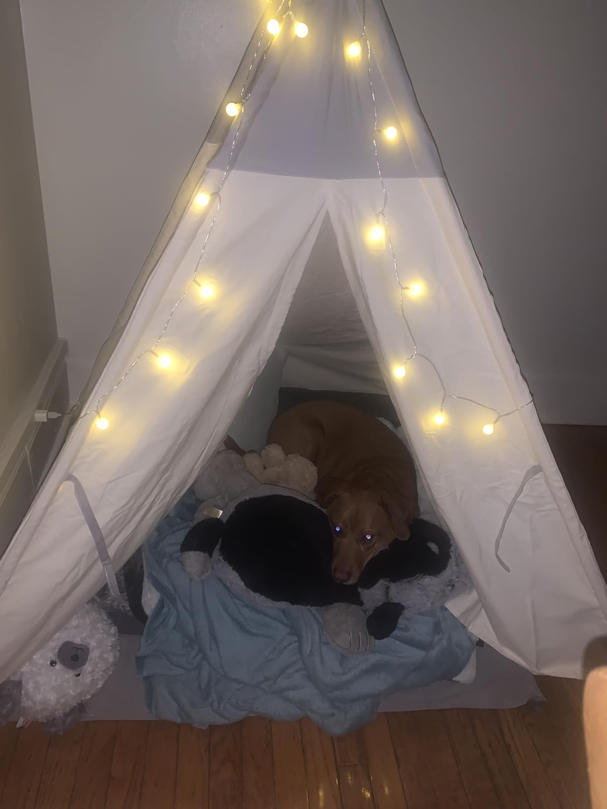 besrey Teepee Tent for Kids with Light & Mat, Toddler Tents Indoor Play Tent Playhouse, Toddler Tipi Cotton, tee Pee Tents for Kids Indoor, Boys & Girls Teepee, Children Room Playhouse customer photo 1