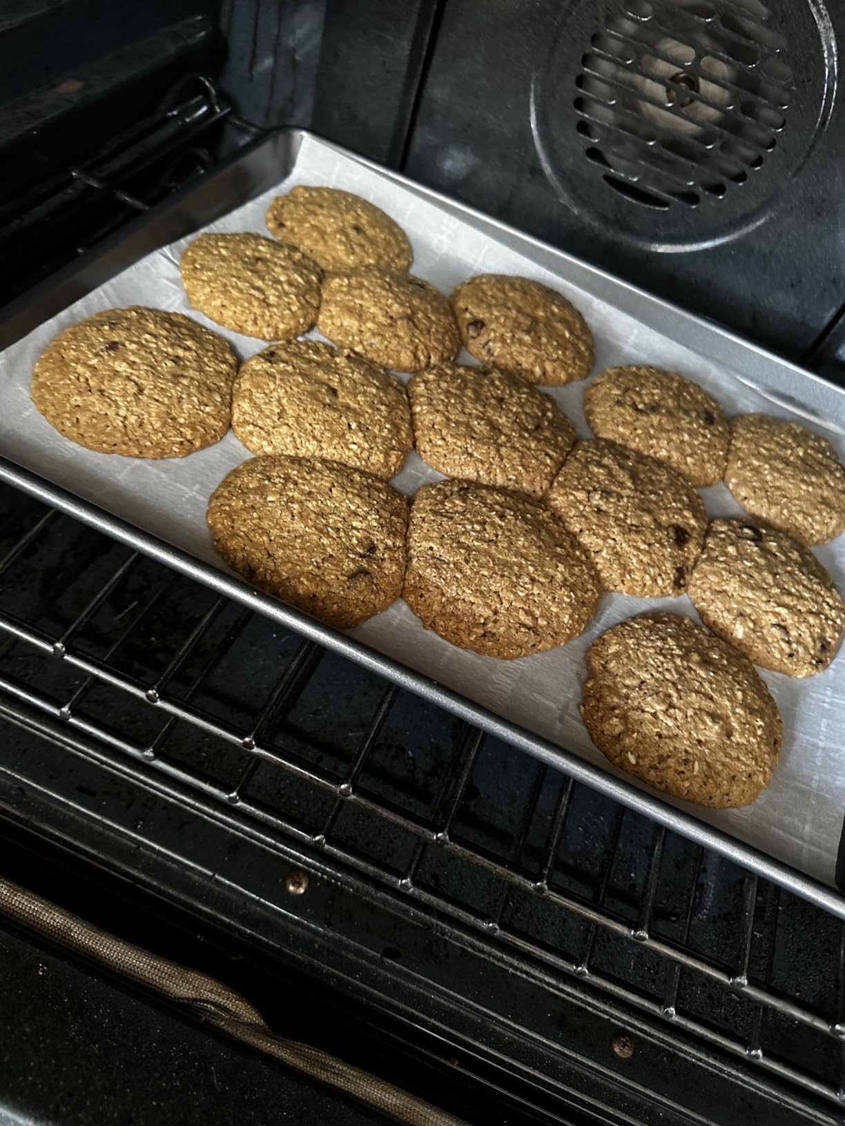 Lactation Cookies Mix - Gluten Free and Dairy Free Oatmeal Breastfeeding Cookie Supplement Support for Breast Milk Supply Increase (Chocolate Chip, 1 Pound) customer photo 1