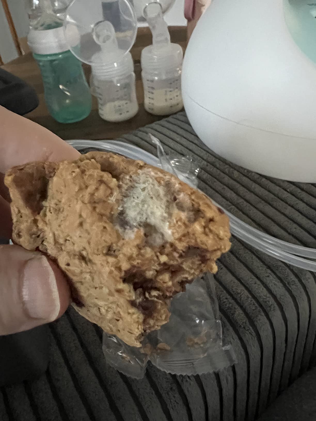 MilkBliss Soft Baked Lactation Cookies for Breastfeeding, All Natural and GMO Free Lactation Boosting Ingredients! Oats, Flaxseed, Brewers Yeast. 12 Count. customer photo 1