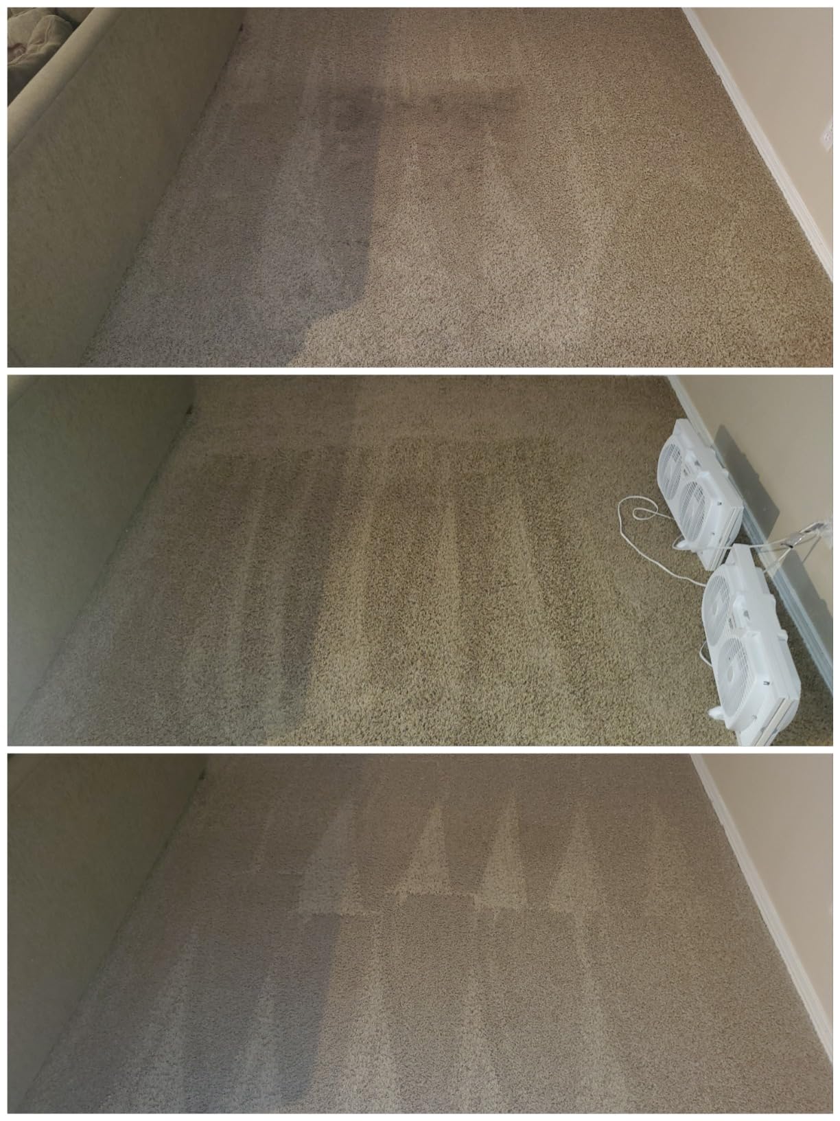 Hoover Pet Carpet Cleaner Solution, 128 oz., Tropical Breeze Scent, Deep Cleaning Shampoo Solution customer photo 2