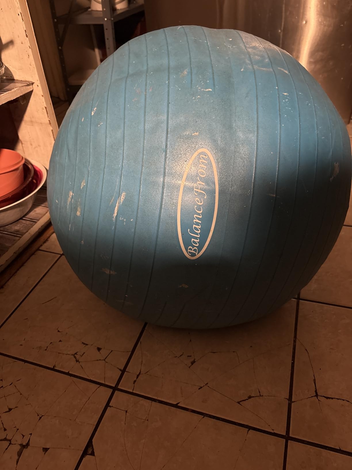 Fitvids Exercise Ball for Fitness, Yoga, Pilates with Quick Pump, Anti-Burst Slip Resistant Balance Ball customer photo 1