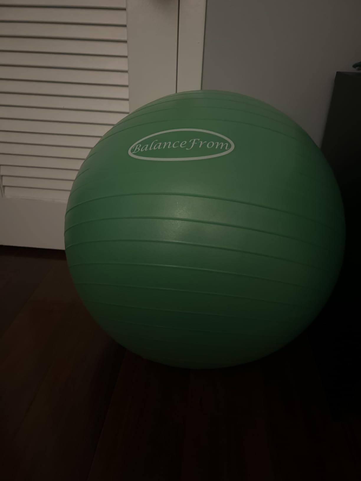 Fitvids Exercise Ball for Fitness, Yoga, Pilates with Quick Pump, Anti-Burst Slip Resistant Balance Ball customer photo 2