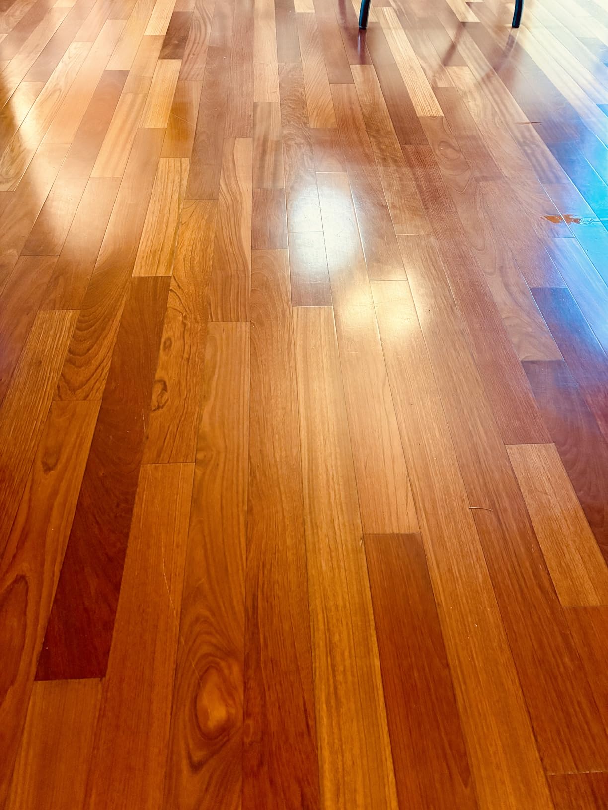 Bissell SpinWave Hard Floor Expert Corded Spin Mop Cleaner with Washable mop Pads for Sealed Hard Floors, 20393 customer photo 2