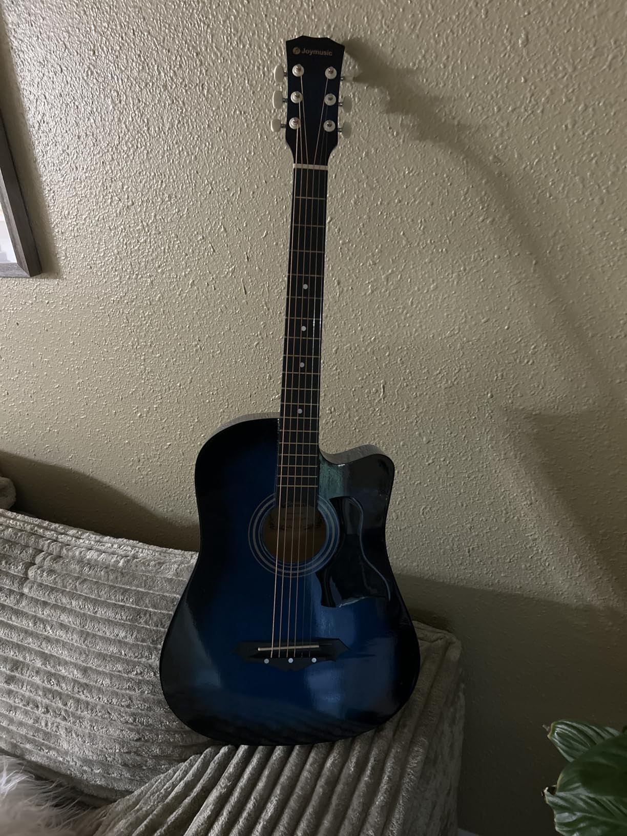 Joymusic 38 inch blueburst beginner acoustic guitar kit,bundle with a strap with picks holder,digital tuner, set strings, capo,cleaning cloth,6 picks,gig bag.(JG-38C,BLS) customer photo 1