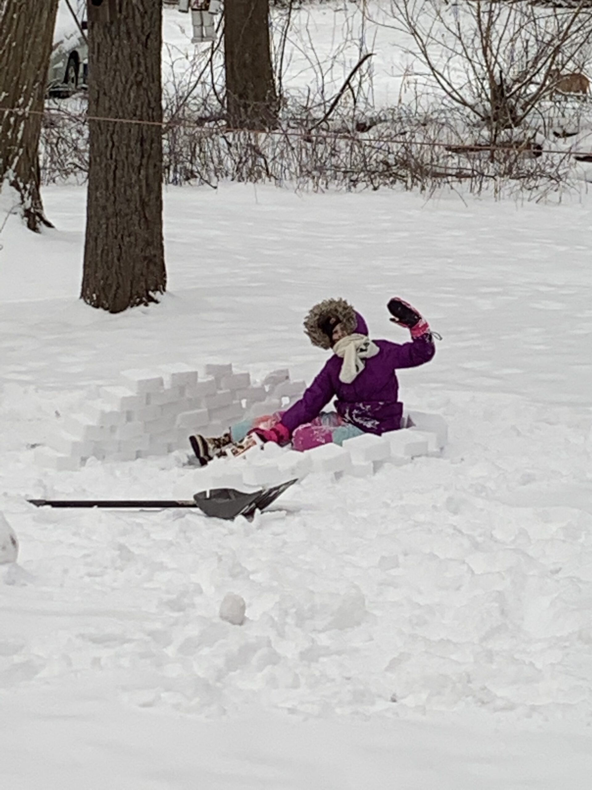 Girls and Toddlers' Water-Resistant Ski & Snow Bib Overall customer photo 2