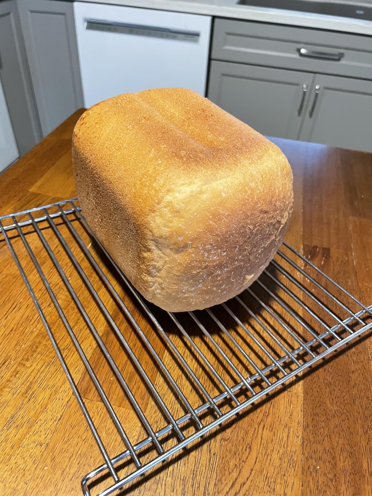 CUCKOO Bread Maker Machine with 15 Menu Options + 3 Crust Colors, 2 lbs Bread Machine with Automatic Fruit & Nut Dispenser, Includes 6 Accessories, Ideal Breadmaker for Sourdough (CBM-AAB101S) customer photo 2