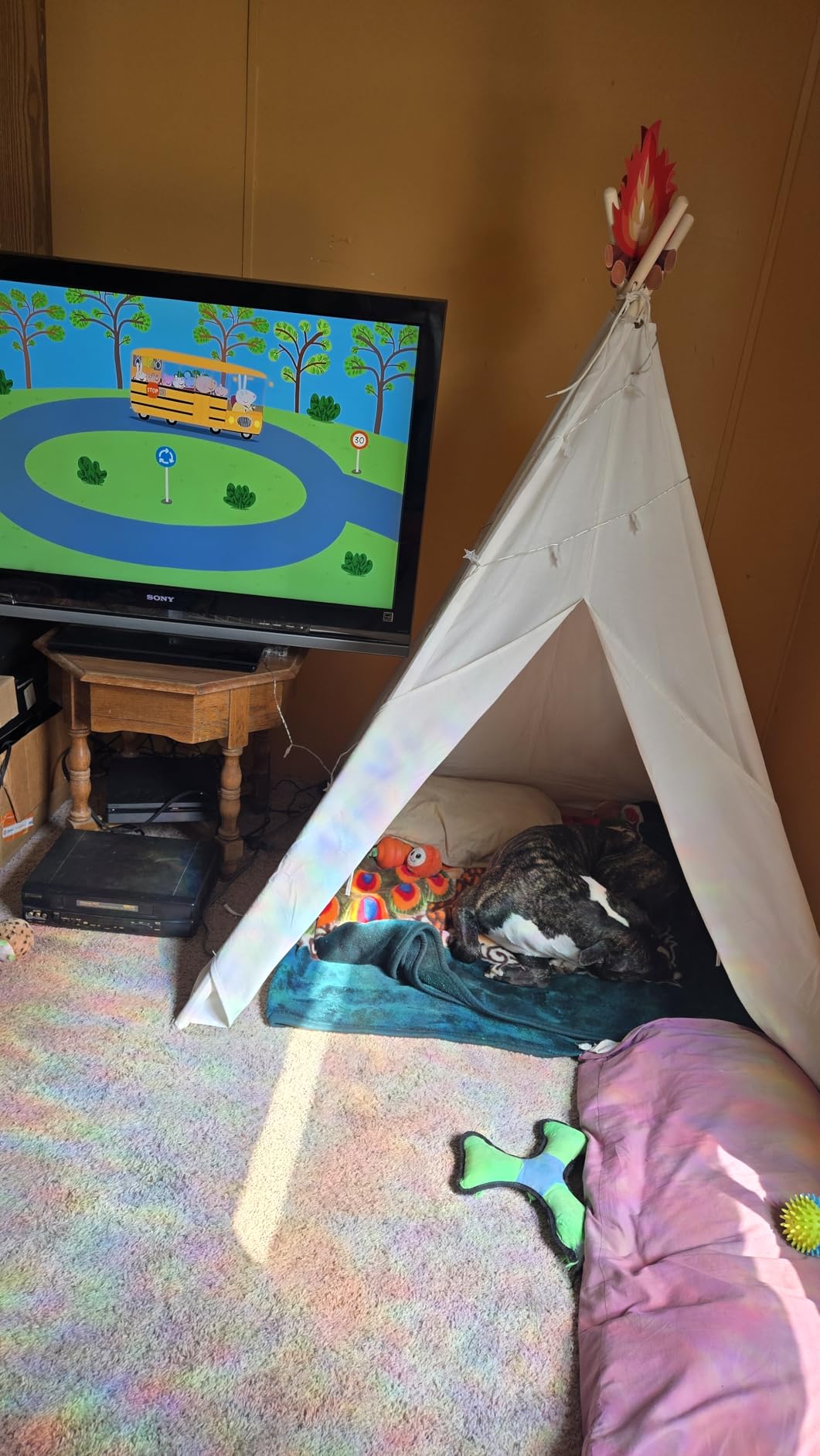 Tiny Land Teepee Tent for Kids with Star Lights, Foldable Play Tent for Girls & Boys, Washable Indoor Toddler Tent, Cozy Warm Reading Nook & Room Decor customer photo 2