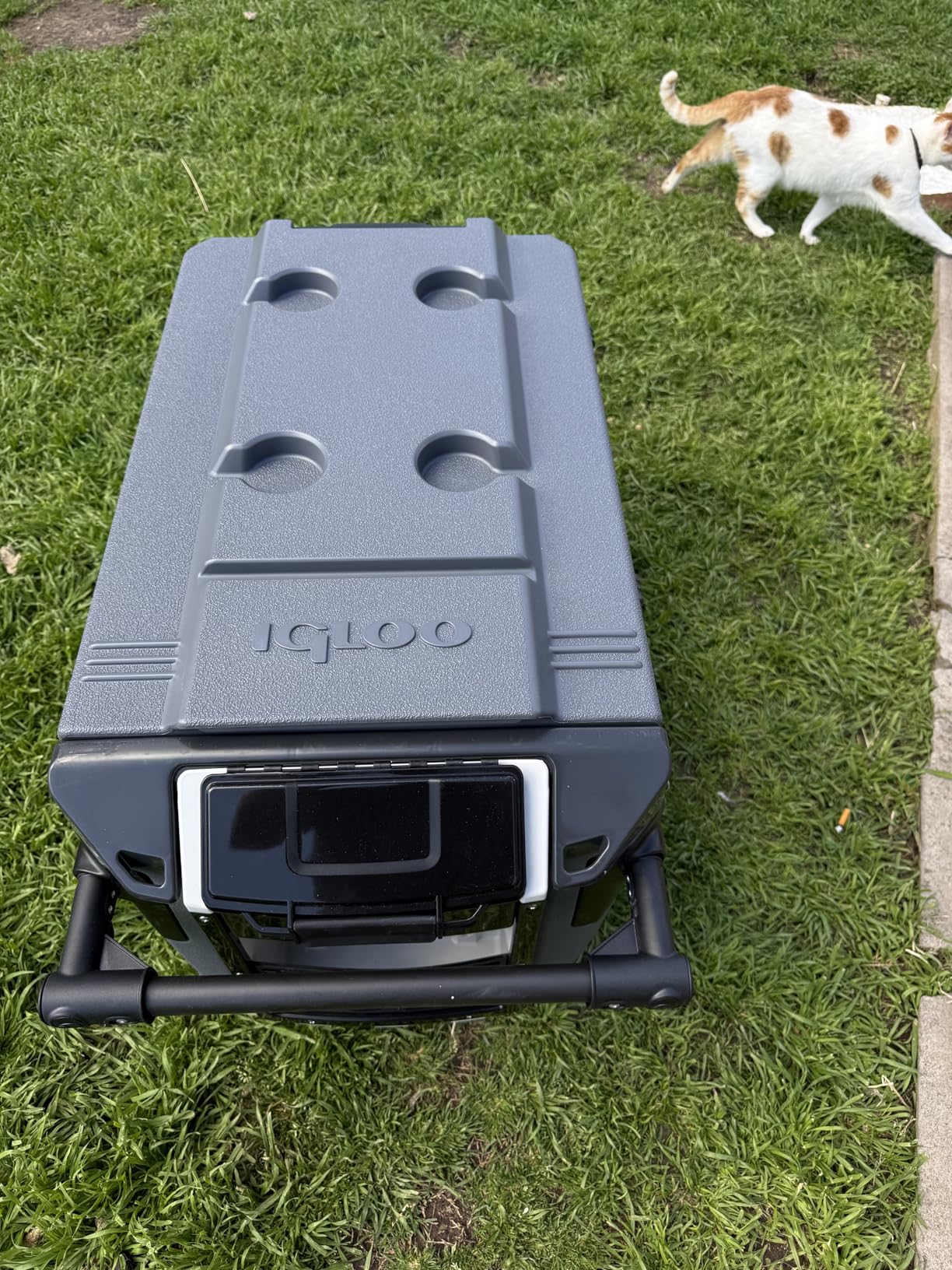 Igloo Trailmate Journey 70Qt Wheeled Cooler customer photo 2