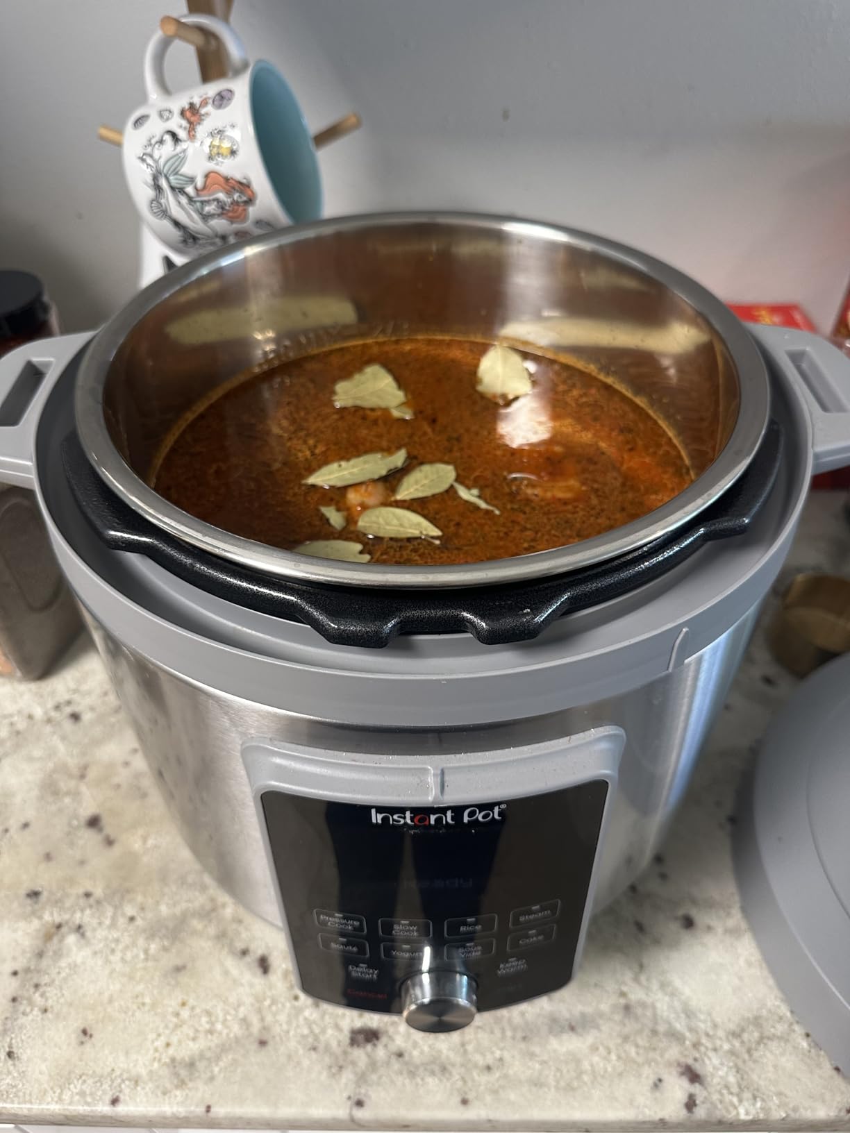 Instant Pot 6-Quart Whisper Quiet 9-in-1 Electric Pressure Cooker, Slow Rice Steamer, Sauté, Yogurt Maker, Warmer & Sterilizer, Free App with 800+ Recipes, Stainless Steel customer photo 1