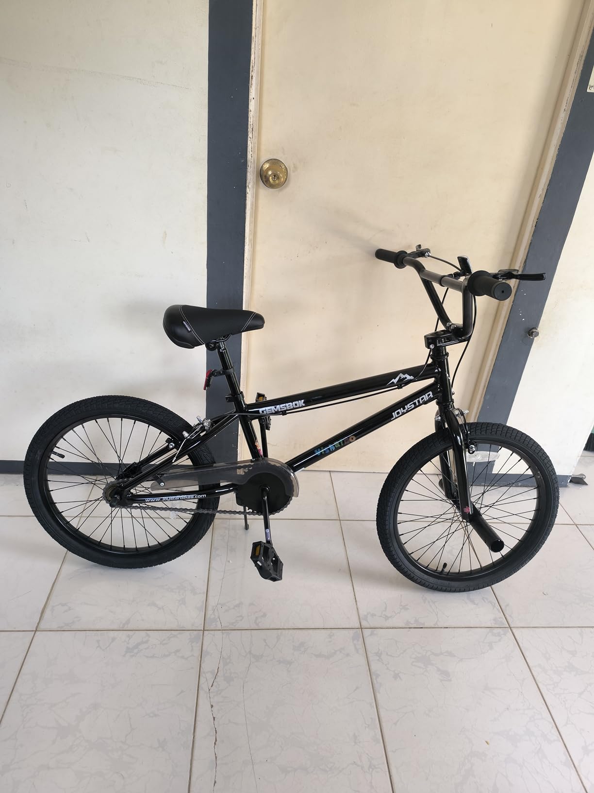 JOYSTAR 20 Inch Kids BMX Bike for Boys and Girls Age 7-12 | Freestyle Bicycle for Beginner Level Riders with Dual Hand Brakes & 2 Pegs | 20